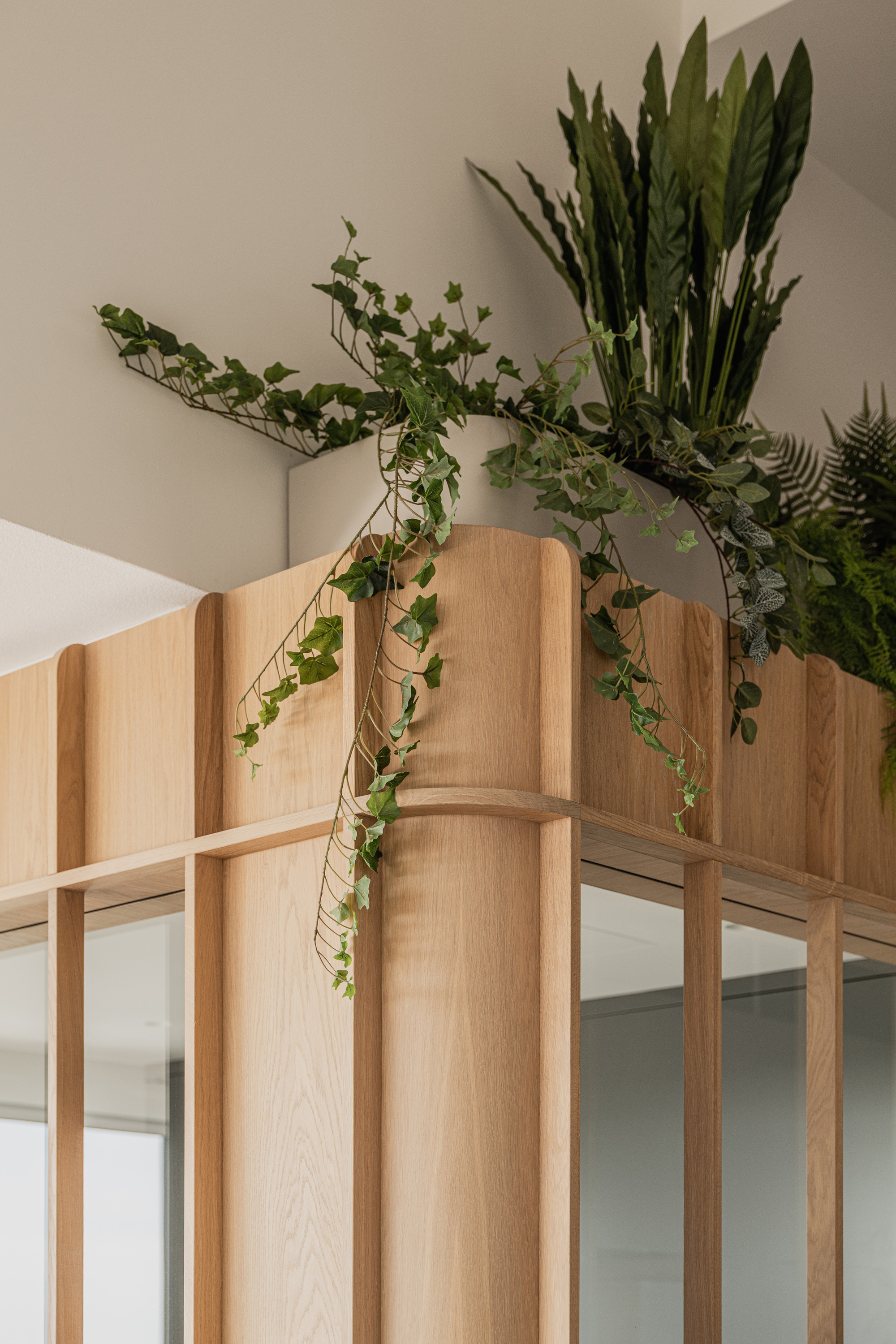 Detail of timber partition corner with trailing ivy and snake plants overhead