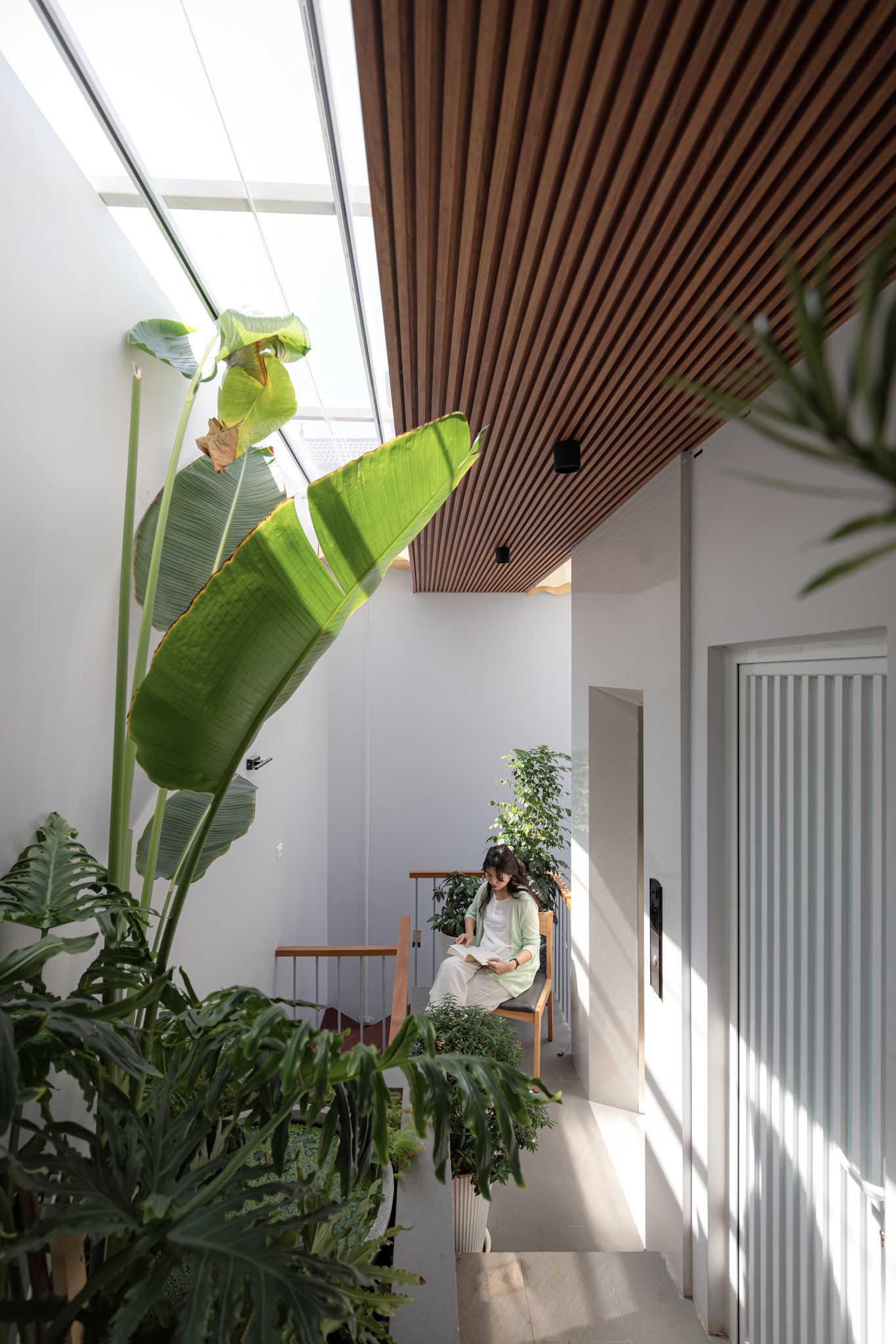 Interior courtyard with skylight, banana plants, and seated resident beneath timber slatted ceiling element