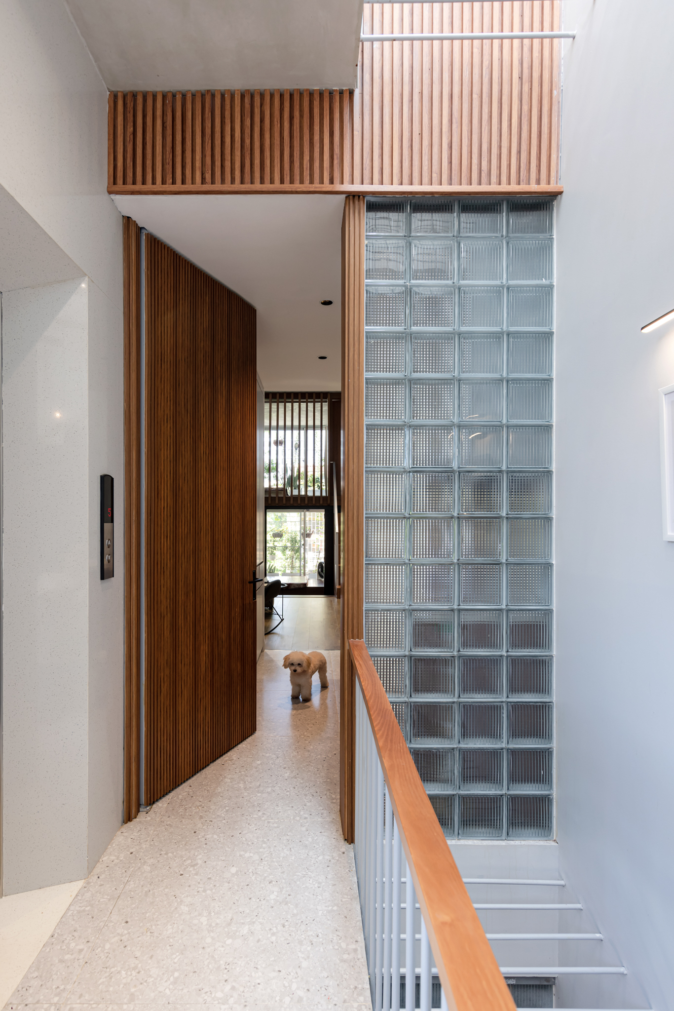 Interior hallway with terrazzo flooring, timber slat wall, glass block window, and a dog walking through