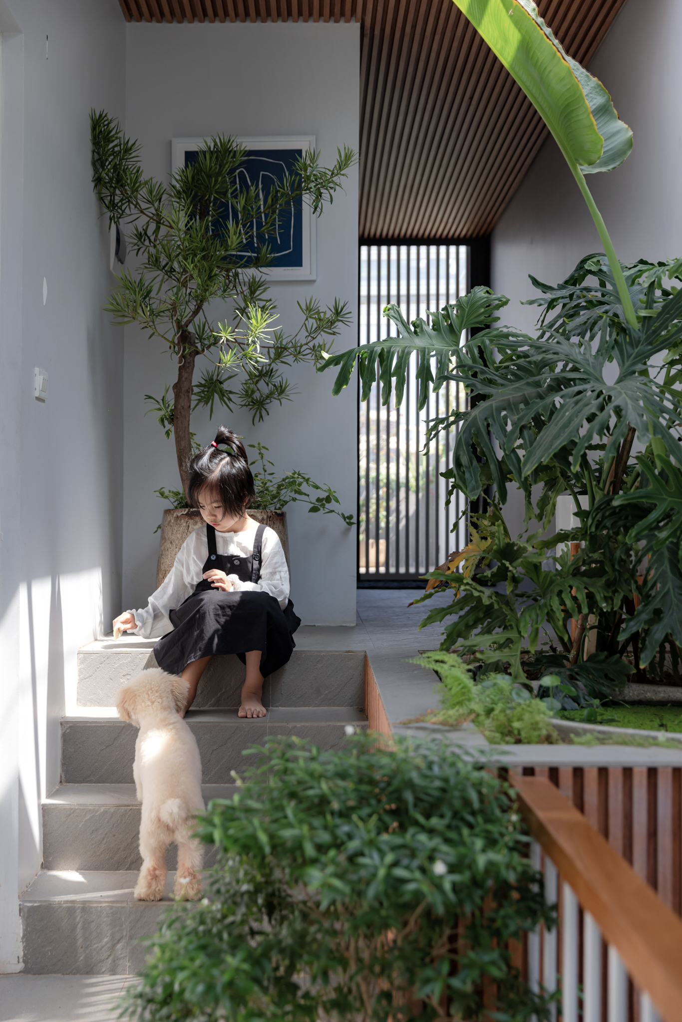 Interior courtyard with planted beds, slatted timber ceiling, and a child seated on concrete steps with a dog