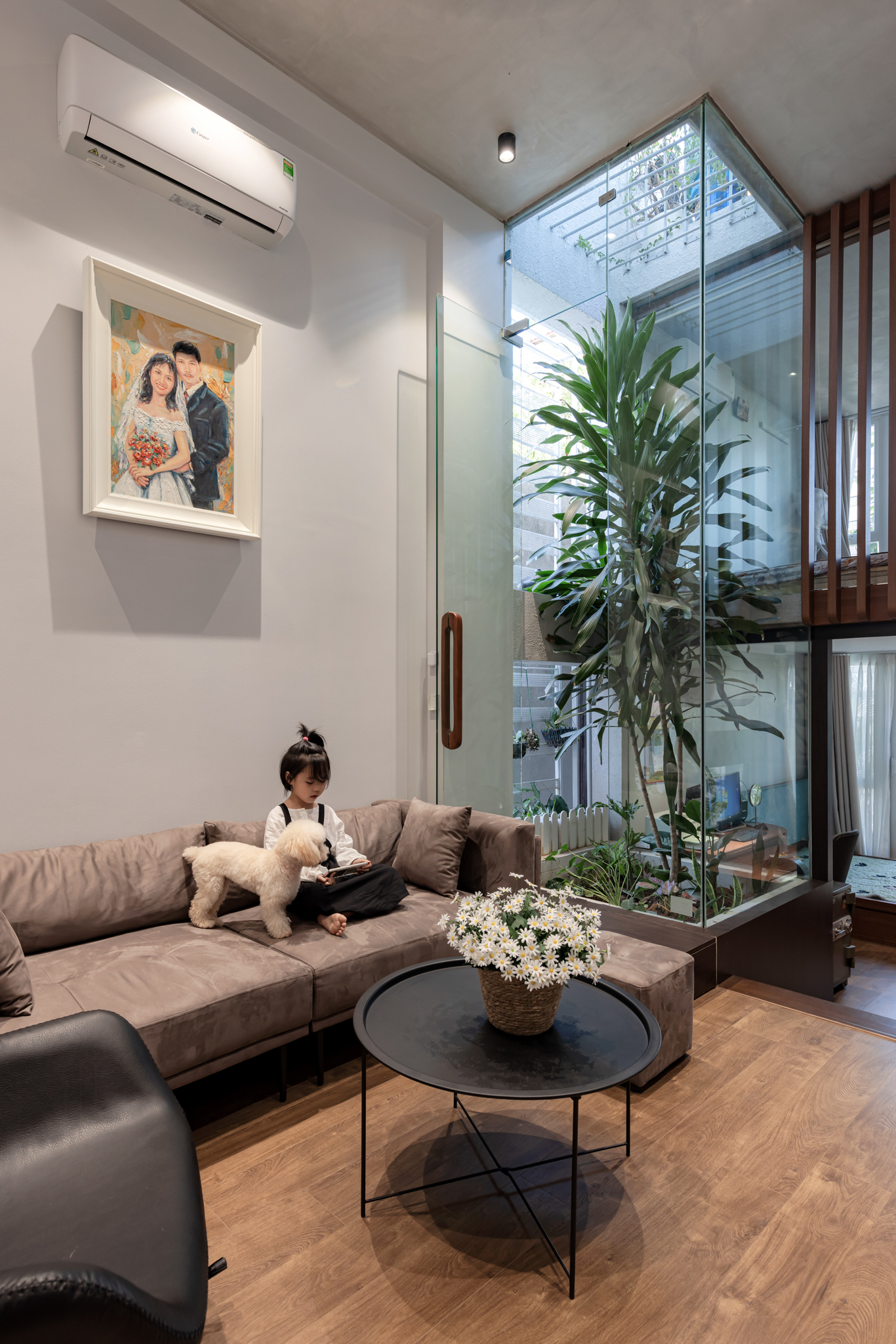 Living room with tall glazed wall opening to an interior planted courtyard and timber ceiling above