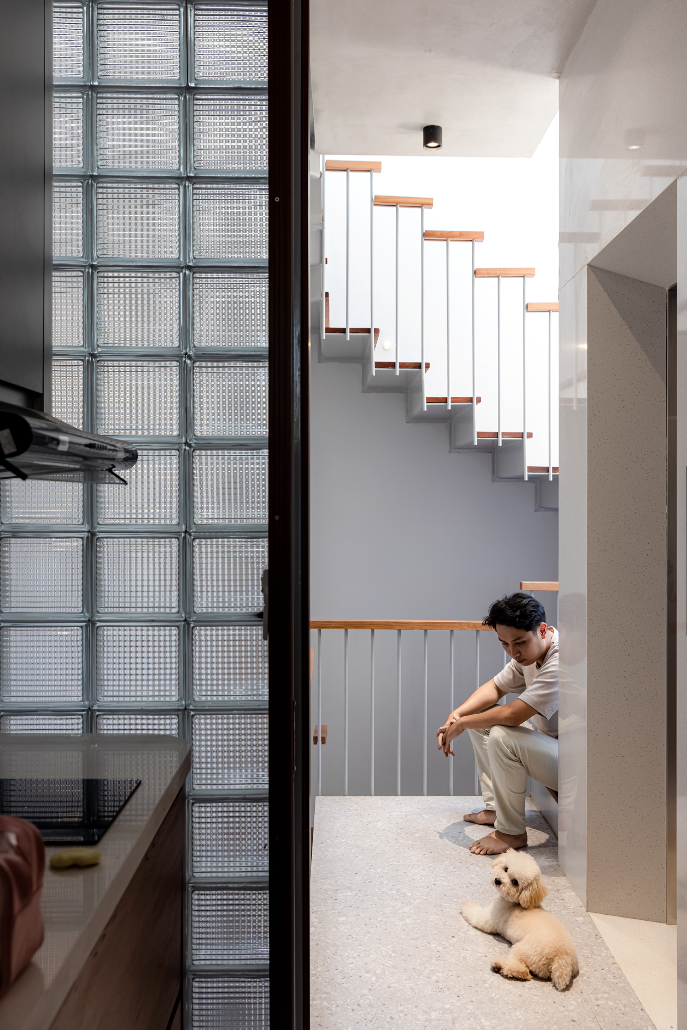 Floating staircase with timber treads and vertical steel rods viewed through a textured glass block wall