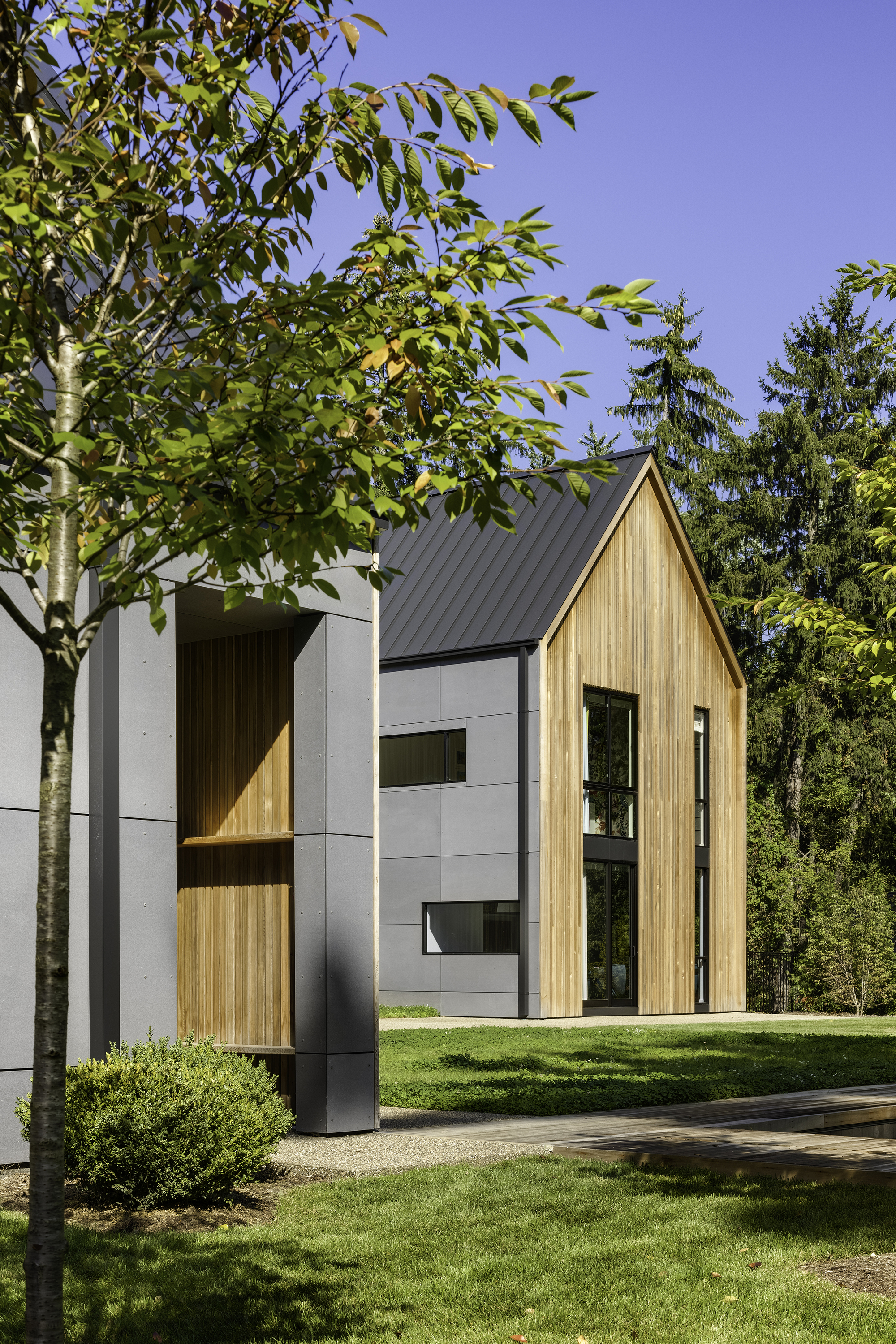 Street view of the paired gable forms combining vertical timber cladding and white panels in afternoon light