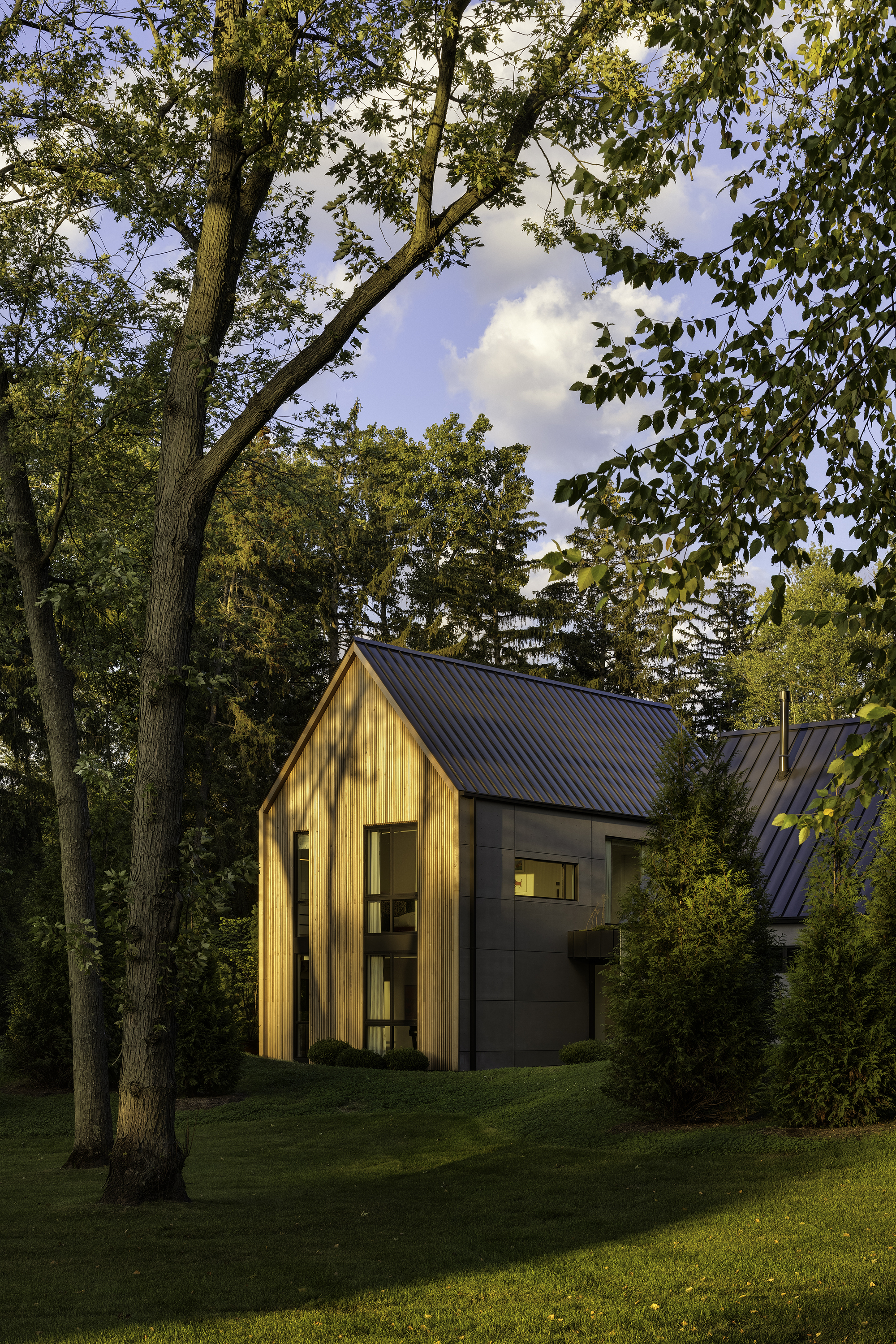 Gabled volumes clad in vertical timber and dark panels nestled among mature trees at dusk