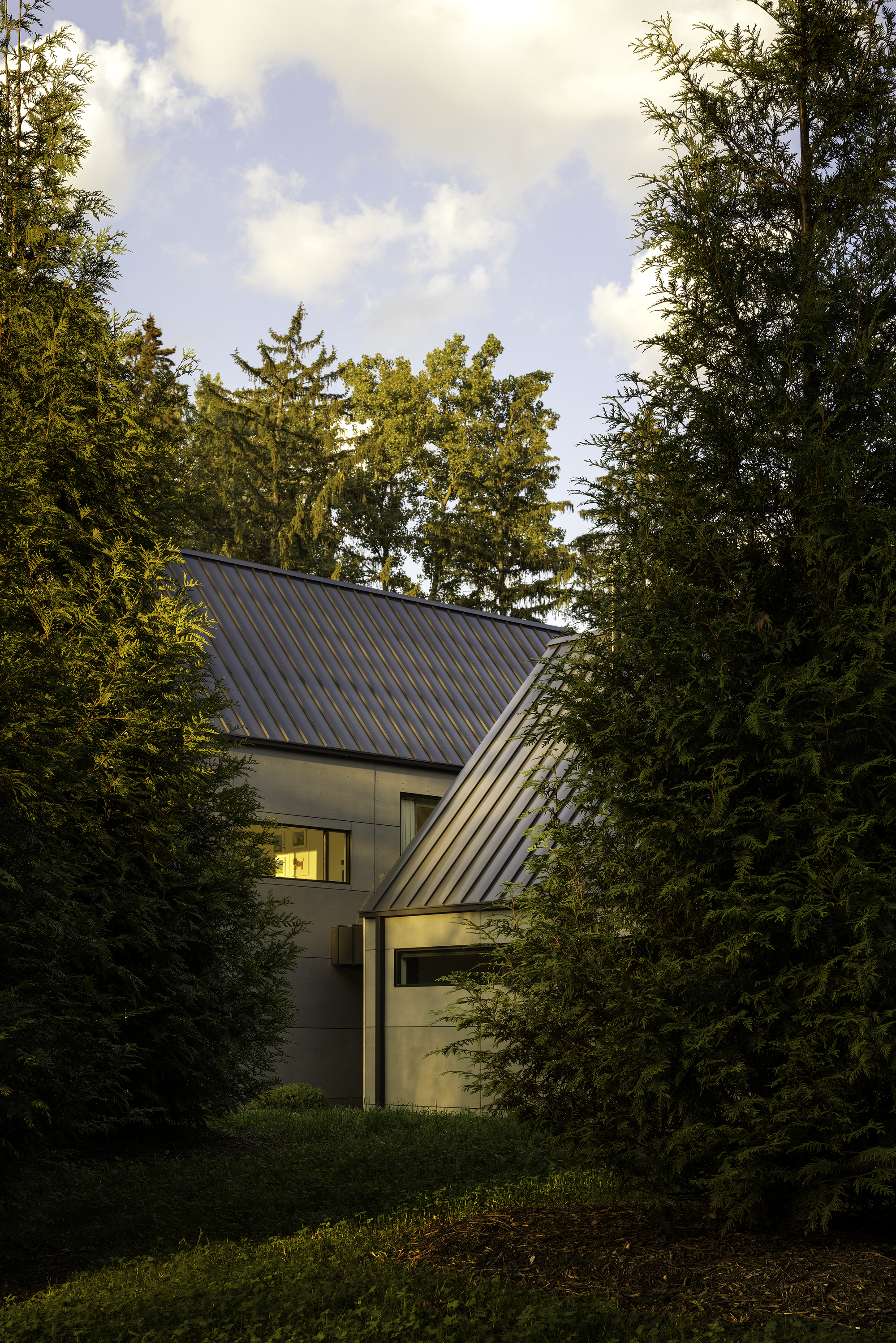 Entry facade with glazed corner and steeply pitched metal roof framed by evergreens at twilight
