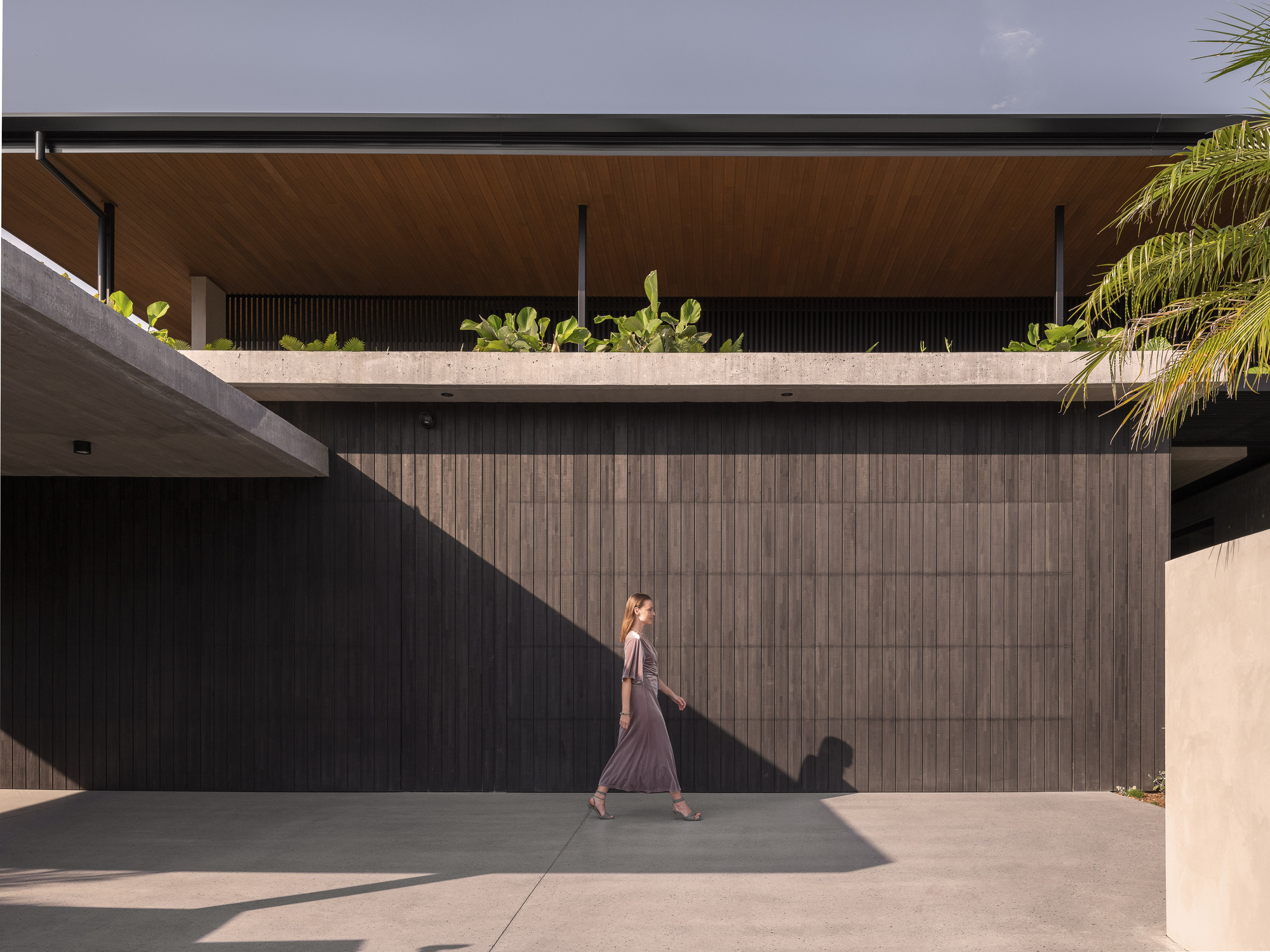 Person walking along the entry driveway with vertical timber cladding and planted concrete balcony above