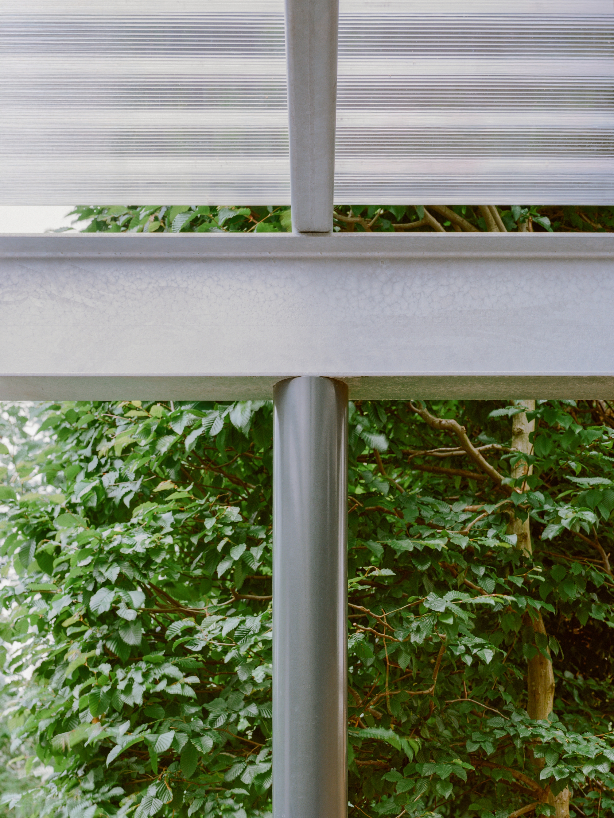 Detail of the ribbed polycarbonate canopy panel meeting a concrete beam and steel column above foliage