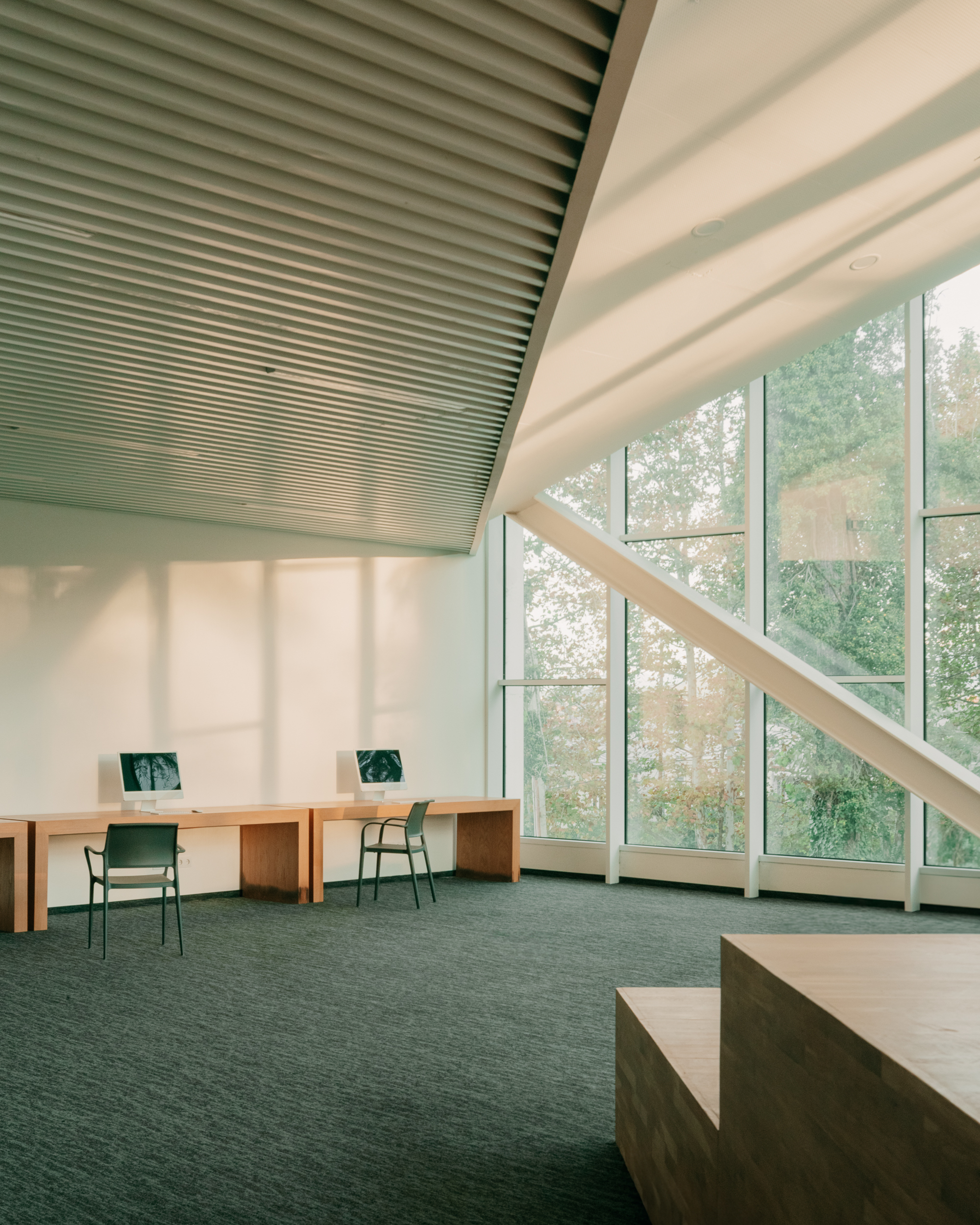 Study desks with green chairs under diagonal timber bracing against full-height windows in soft daylight