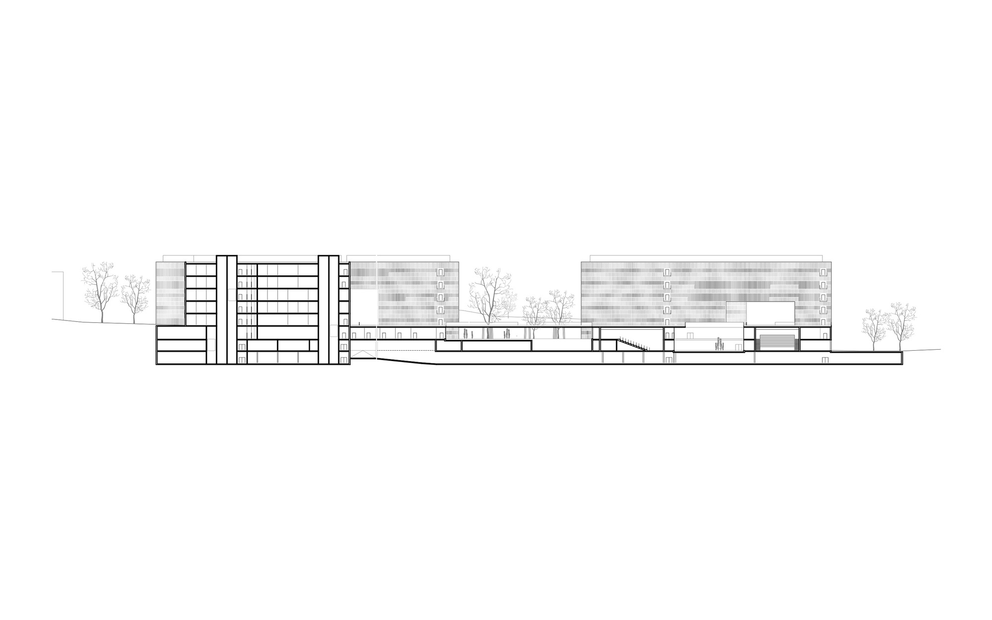 Elevation drawing depicting residential blocks connected by a sloping glazed passage with trees along the base