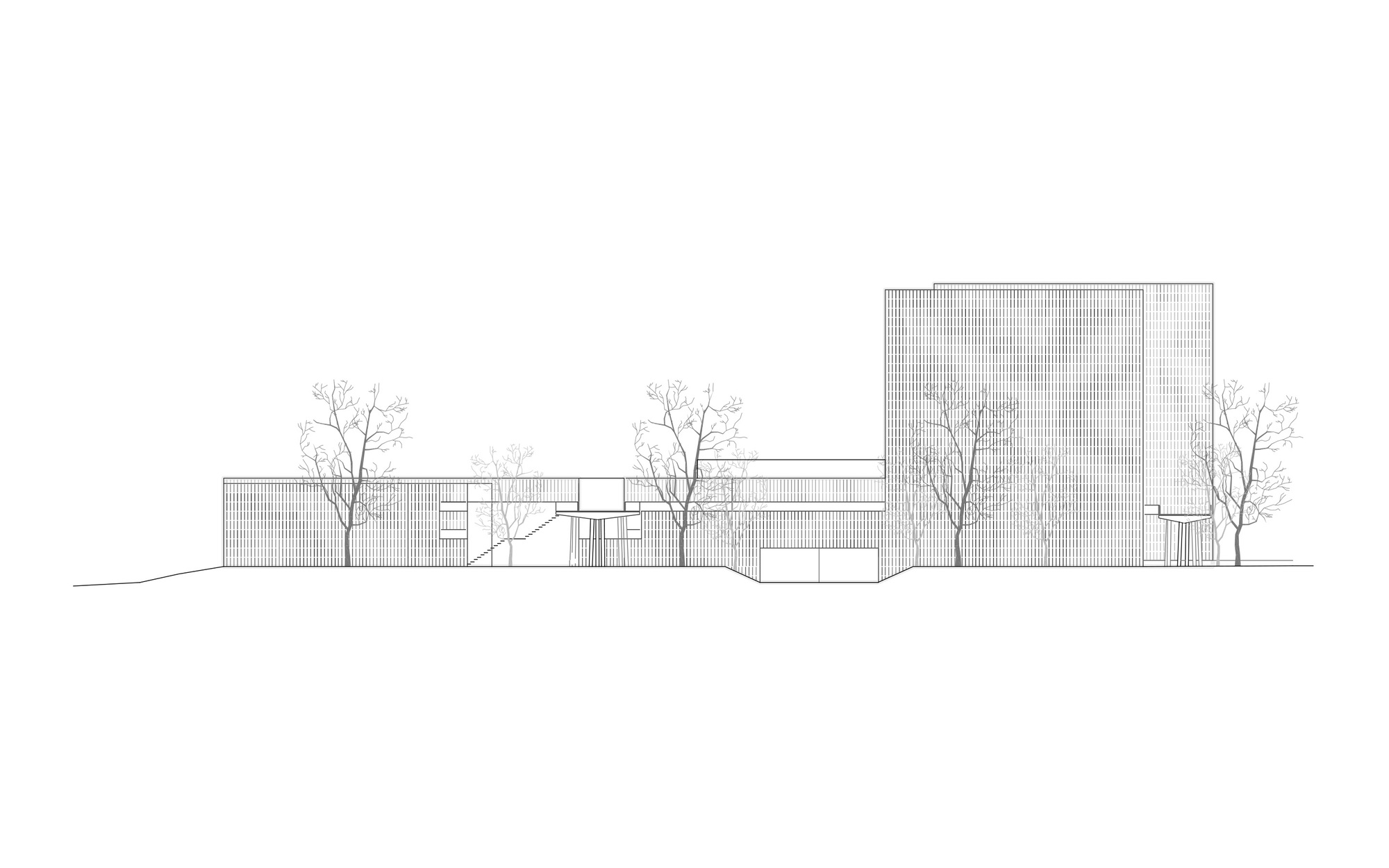 Elevation drawing showing a tall tower block adjacent to low horizontal volumes with deciduous trees in foreground