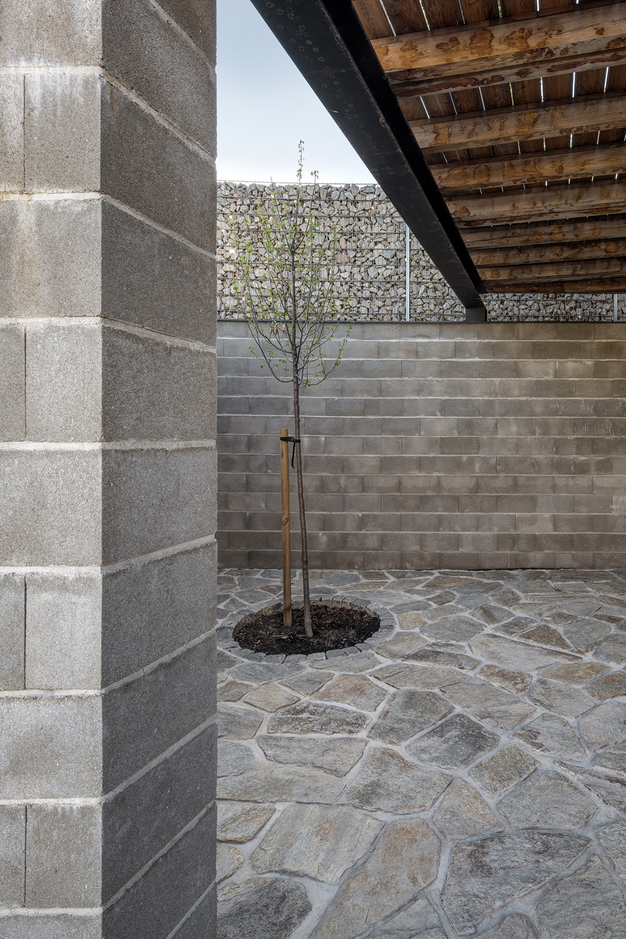 Concrete block courtyard with young tree in stone paving beneath exposed timber decking overhead