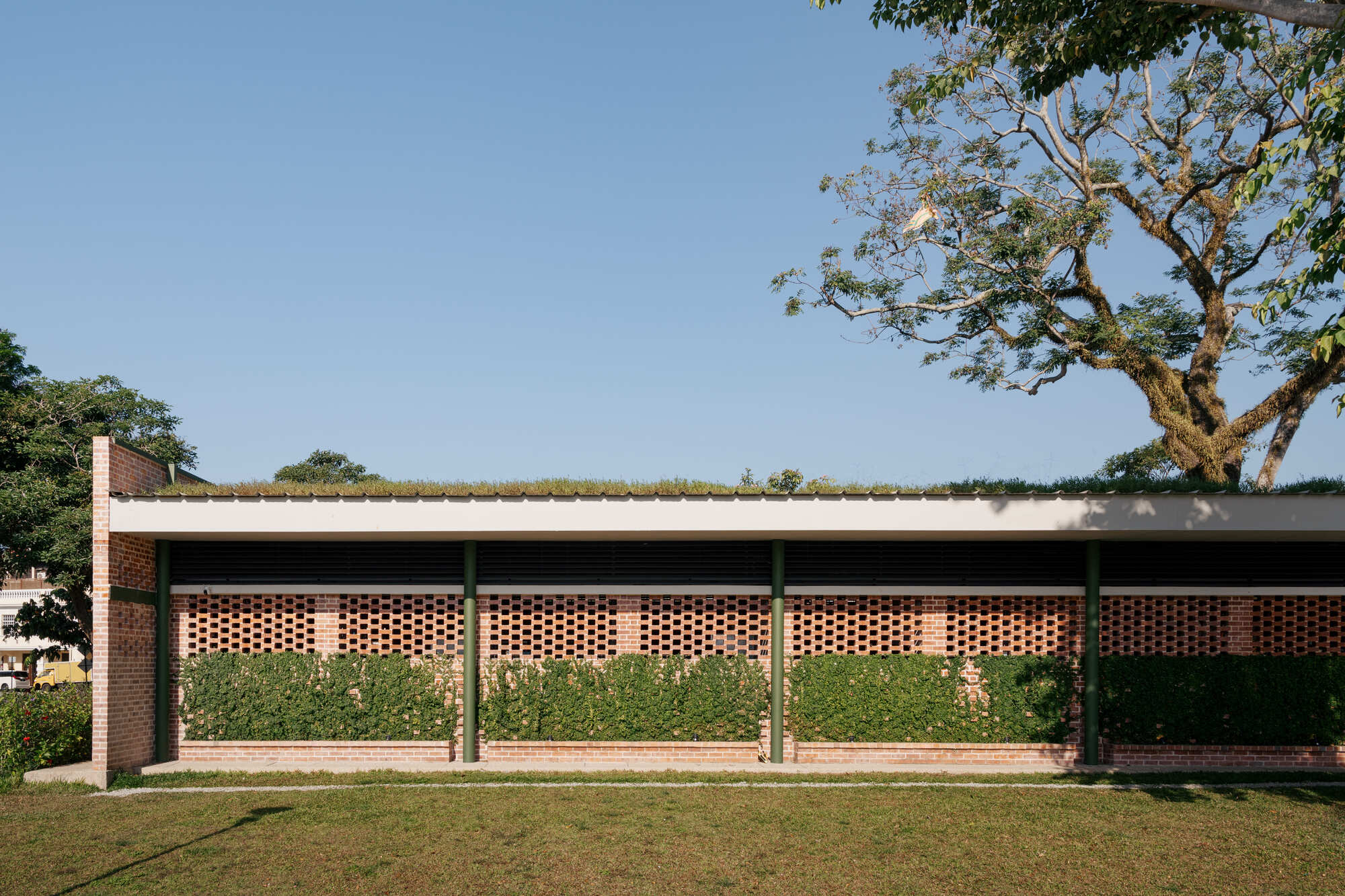 Perforated brick facade panels separated by columns beneath a planted roof and overhanging tree branch