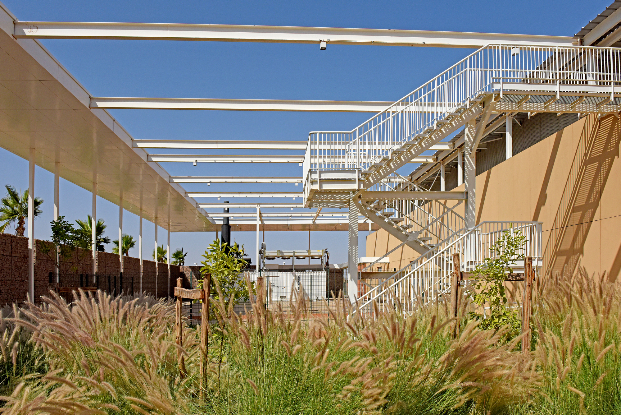 Exterior staircase rising to upper levels framed by grasses and overhead beams with palm trees