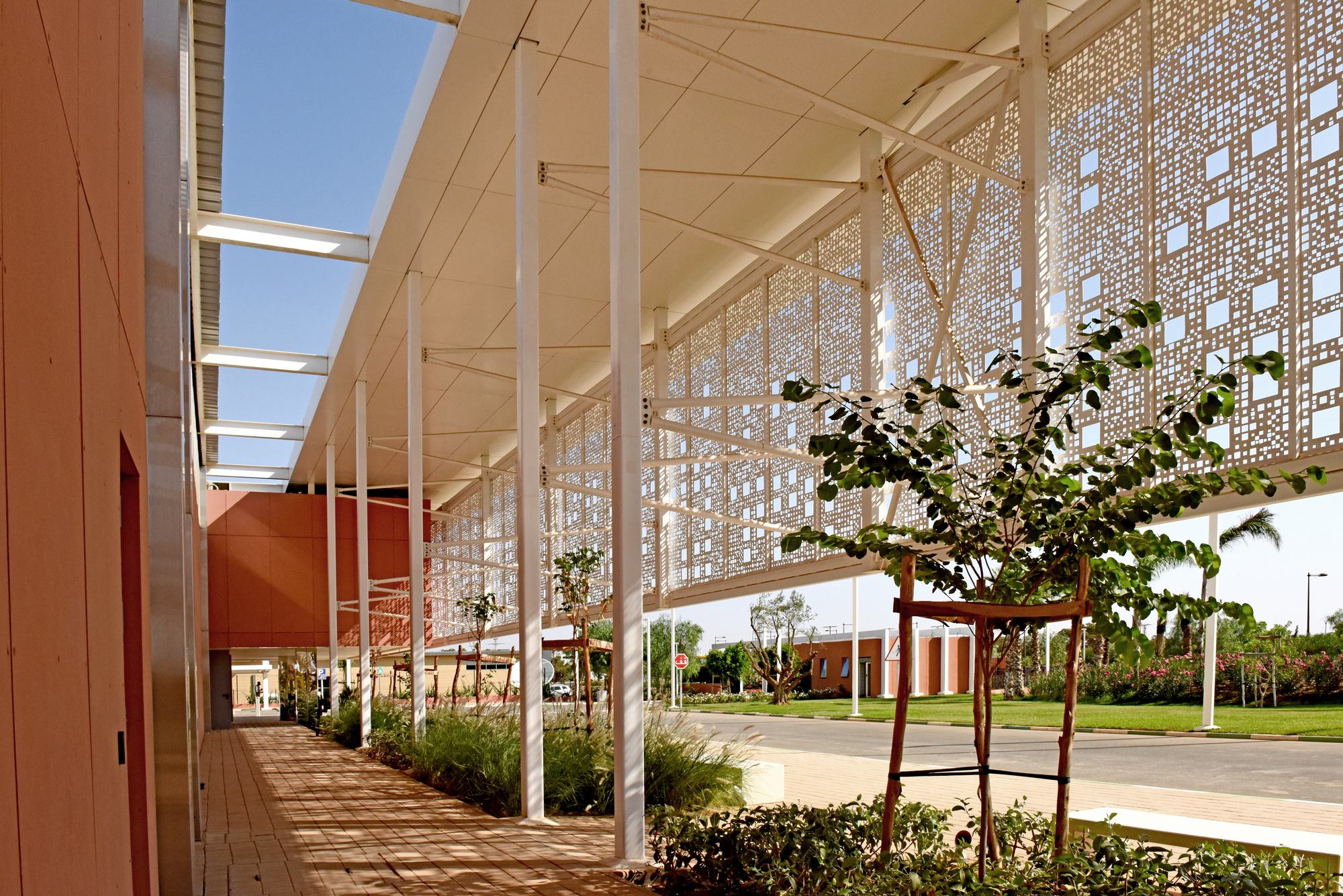 Covered walkway with perforated metal screen wall and planted trees under a timber soffit