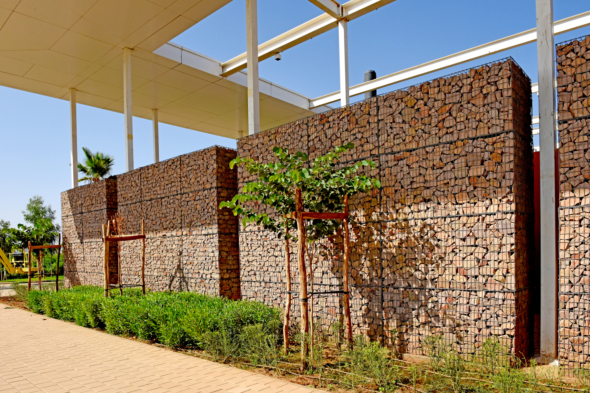Gabion wall detail with planted bed and young tree under an open white structural frame
