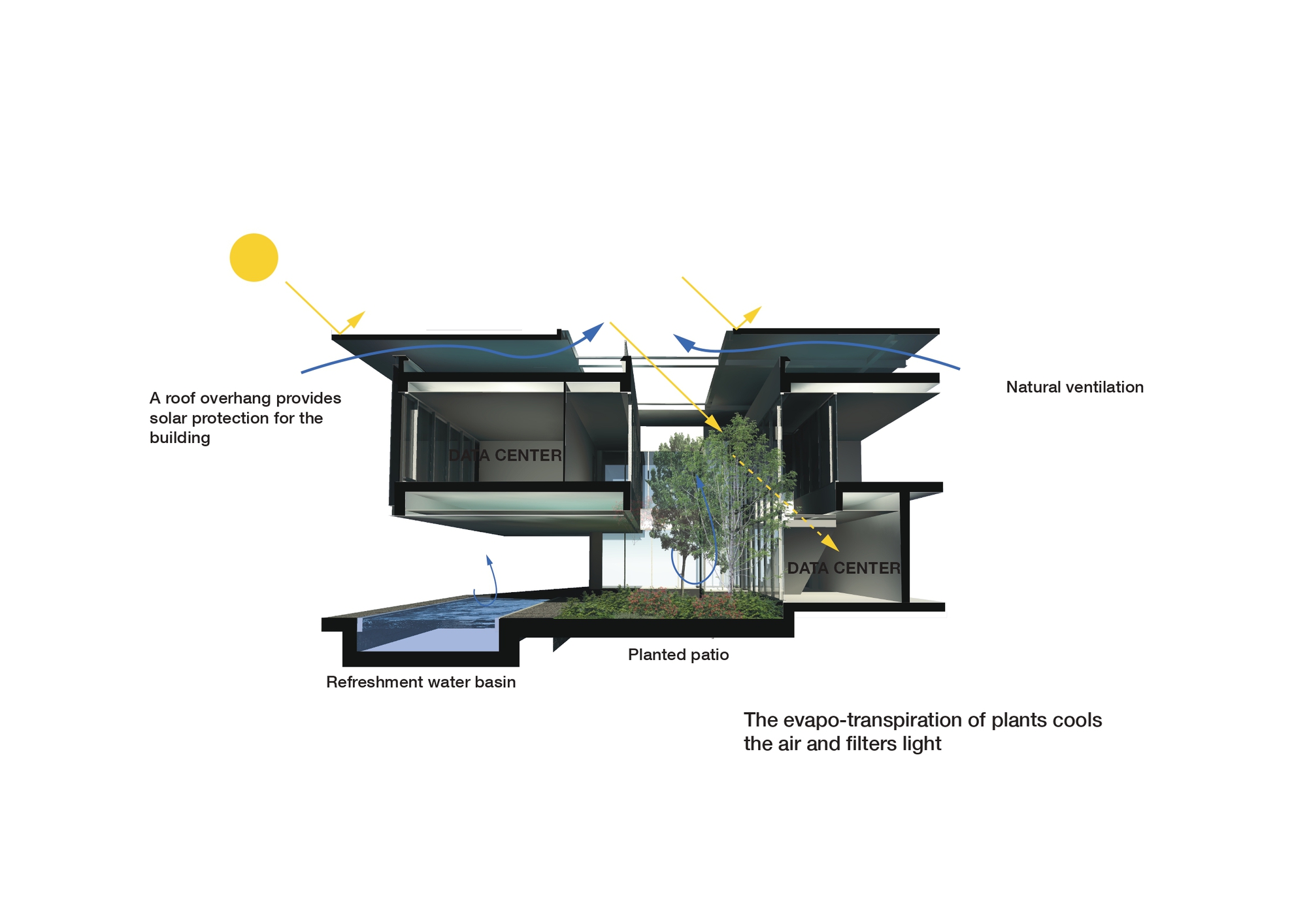 Section diagram illustrating the cantilevered roof planes, water basin, and central planted patio with tree