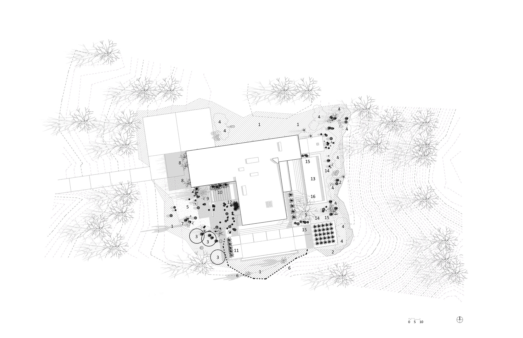 Site plan drawing showing the residence with pool and surrounding desert landscape plantings