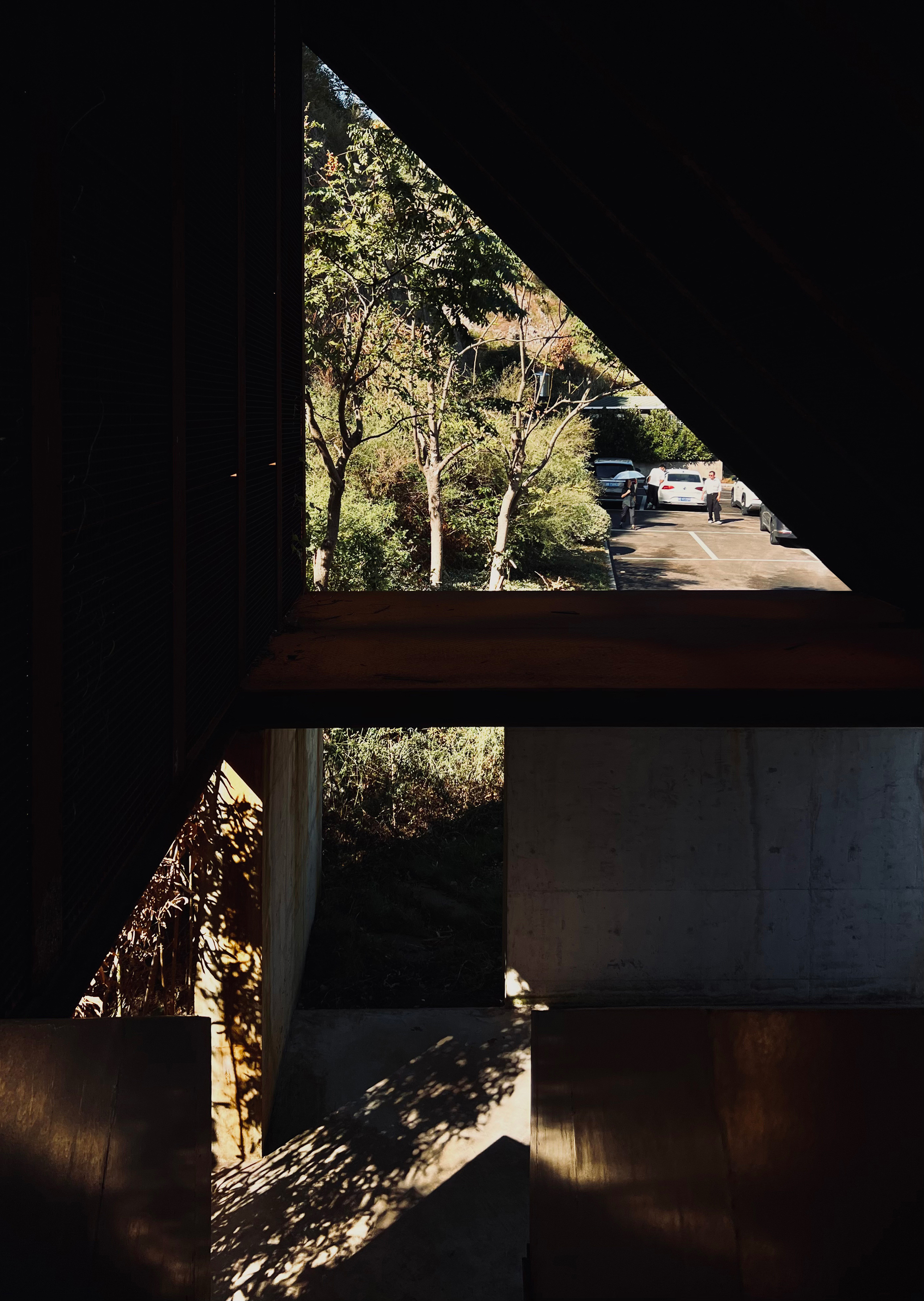 Interior view of triangular window openings with concrete beams casting dappled shadows from trees