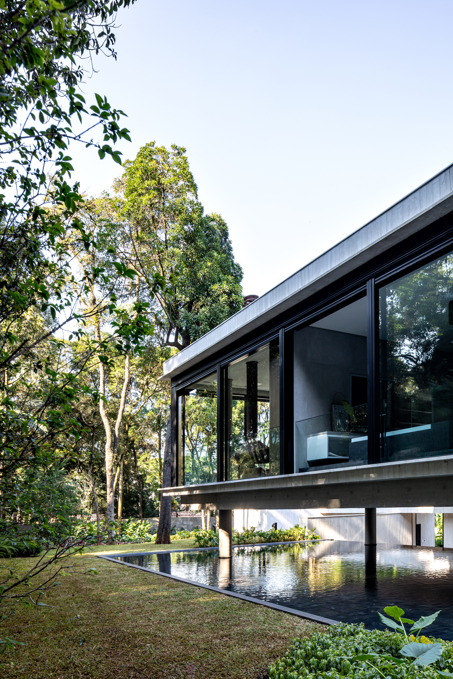 Glass-walled upper volume on piloti above a reflecting pool with water plants and surrounding forest