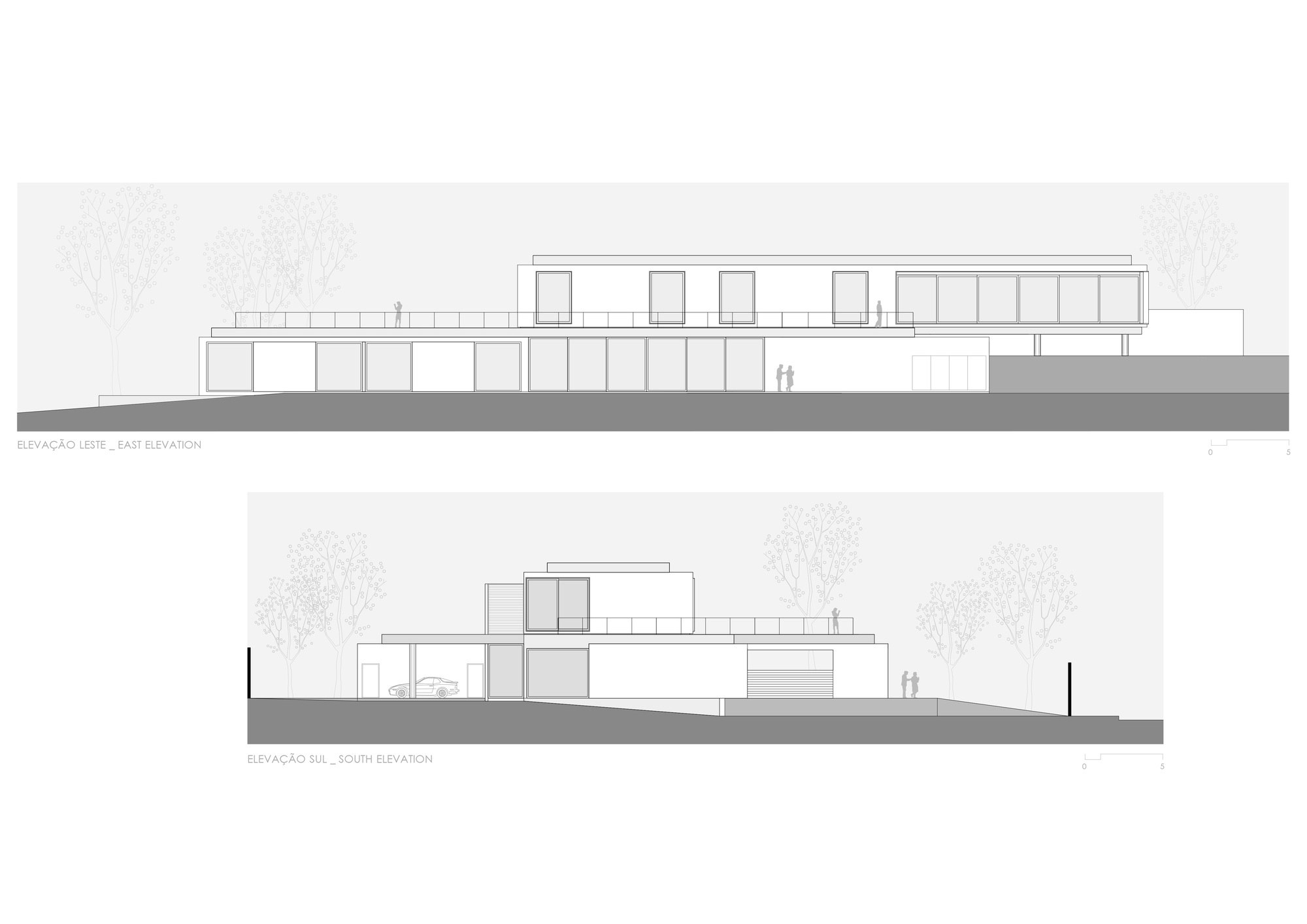 Elevation drawings depicting the building's massing on grade with surrounding trees indicated