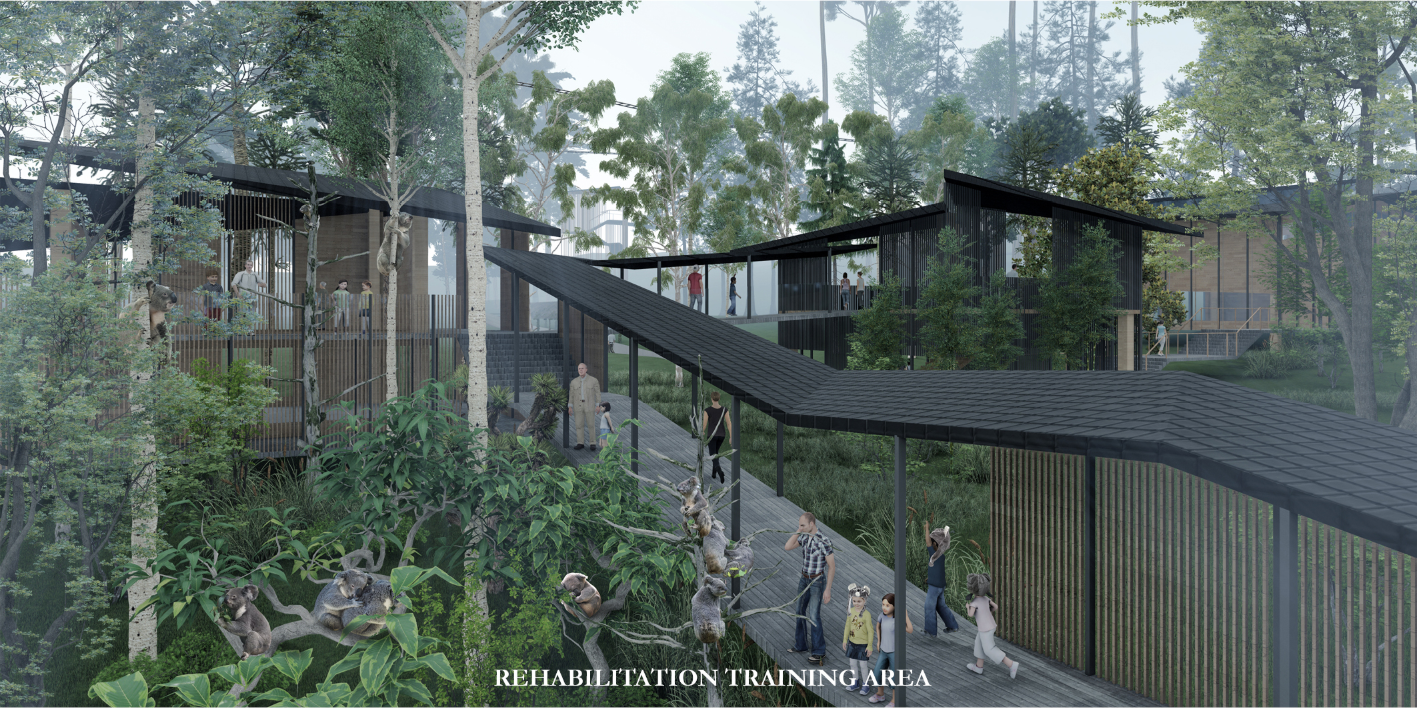 Elevated rehabilitation training area where visitors observe koalas while minimizing disturbance to their natural recovery process.