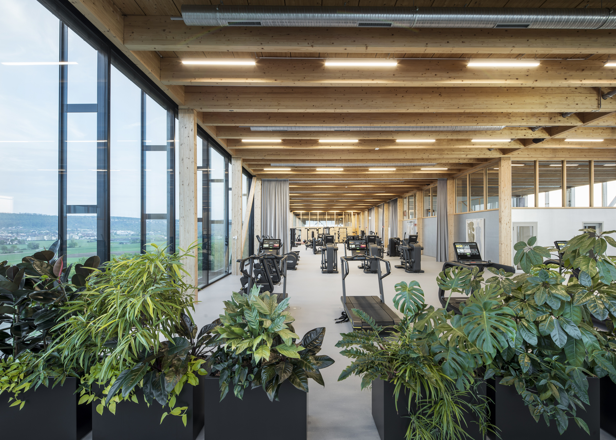 Fitness area with planters in the foreground beneath timber beams and curtain wall glazing