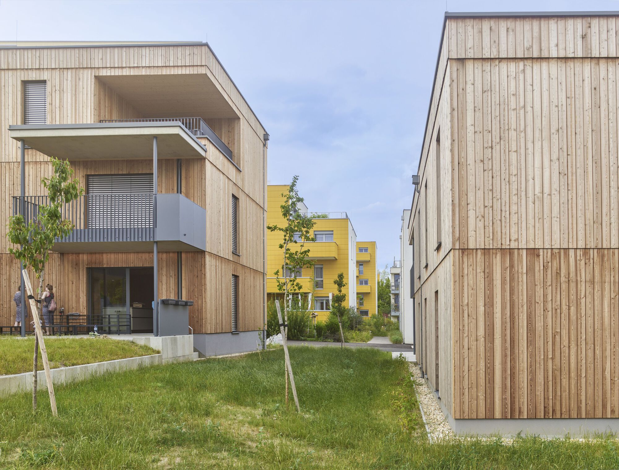 Timber-clad residential blocks with inset balconies flanking a shared lawn and young trees