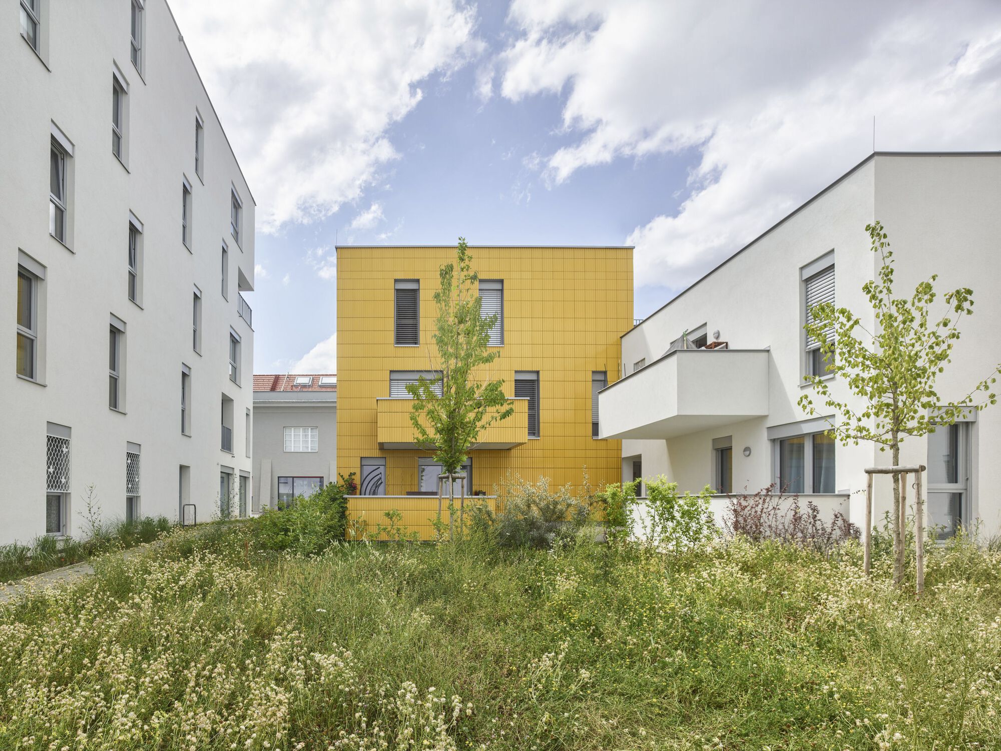 Yellow paneled facade centered between white residential blocks across a wildflower meadow