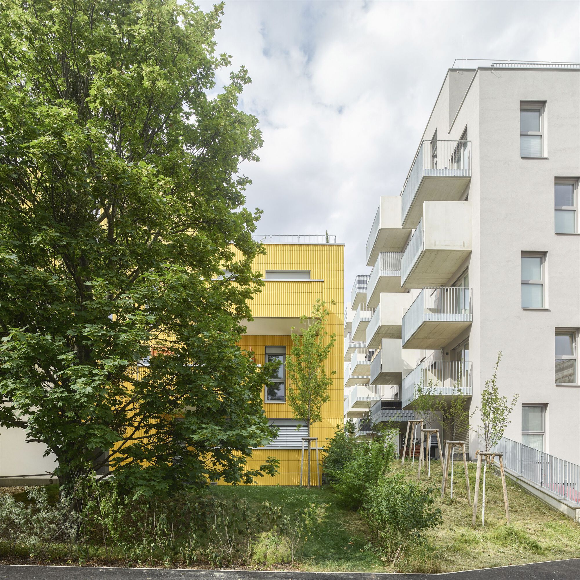 Courtyard view showing yellow facade behind mature tree and white balcony stack under cloudy sky