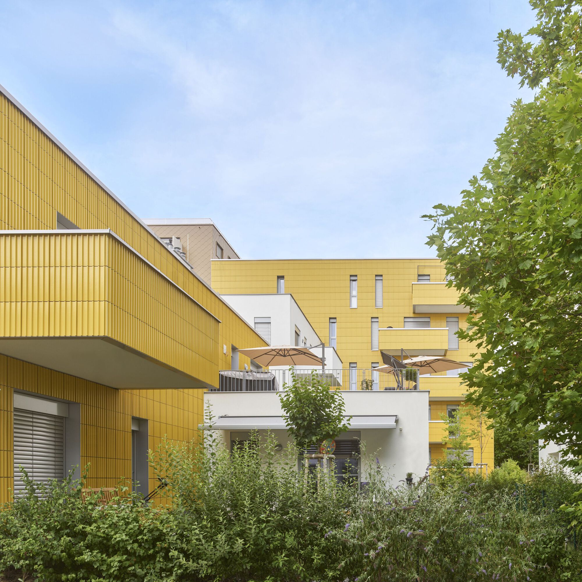 Yellow ribbed metal cladding on residential volumes with balconies behind dense green vegetation