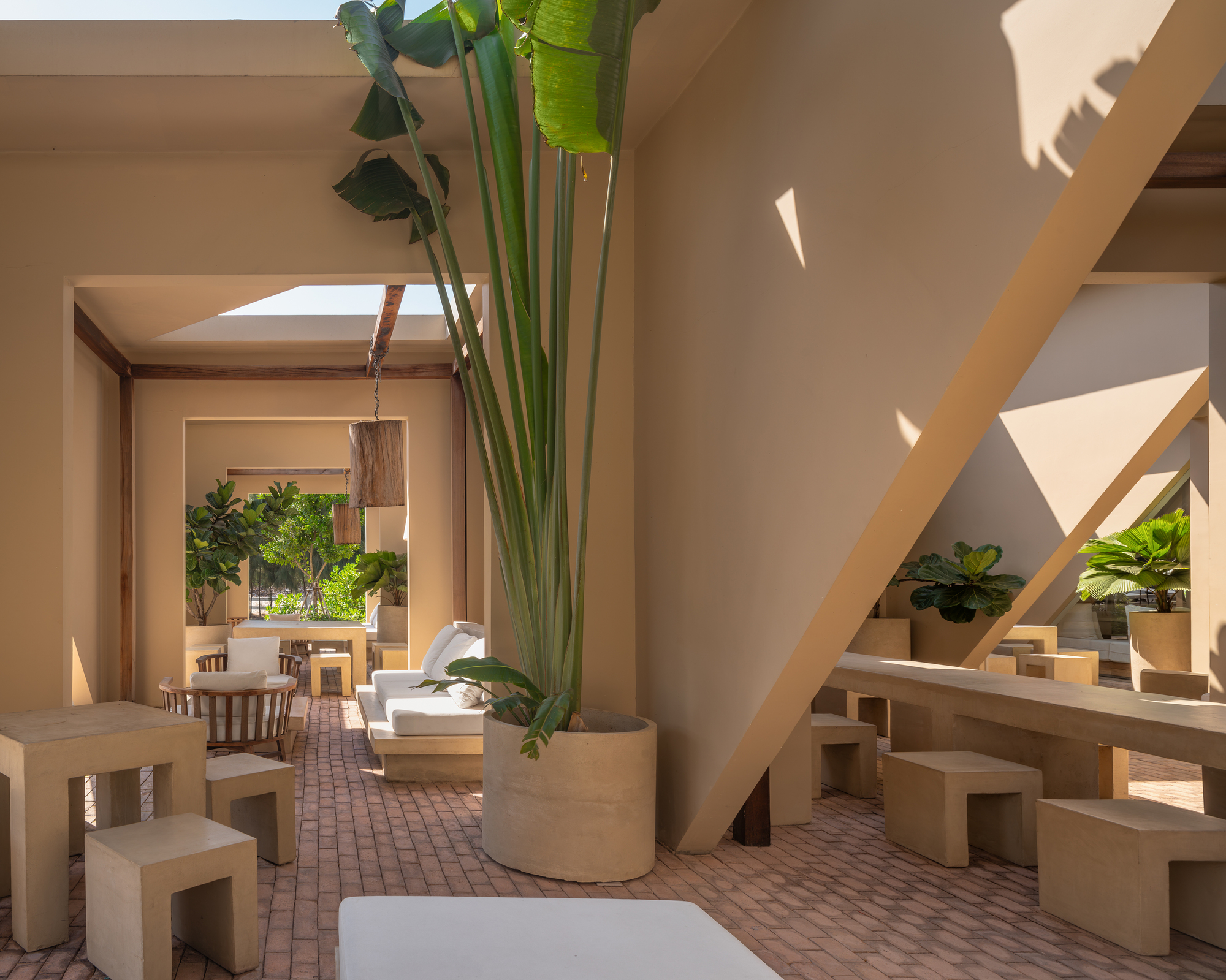 Interior terrace with angled timber beams, skylights, and a tall potted palm in afternoon sun