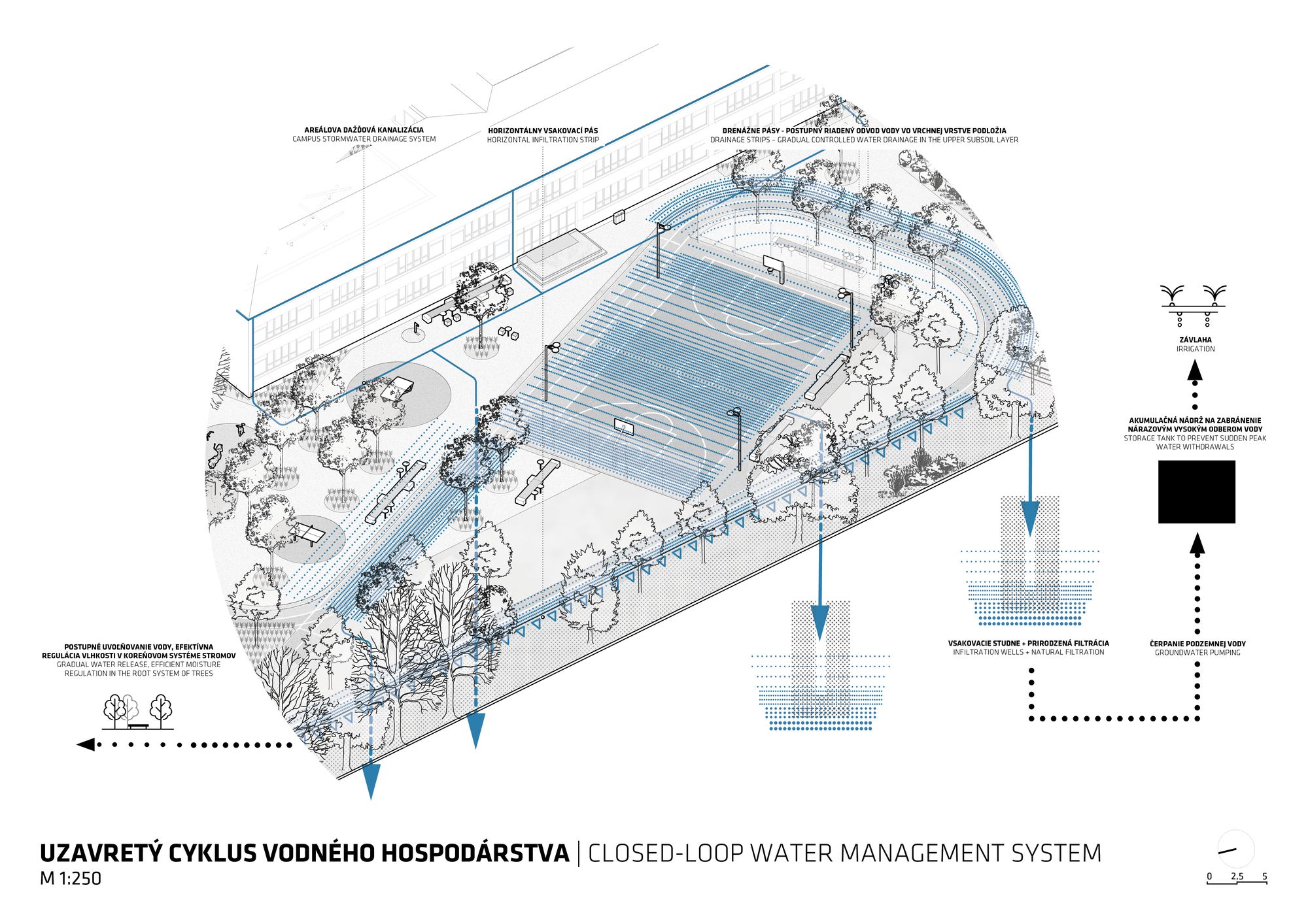 Axonometric drawing illustrating the closed-loop water management system with planted zones and drainage pathways