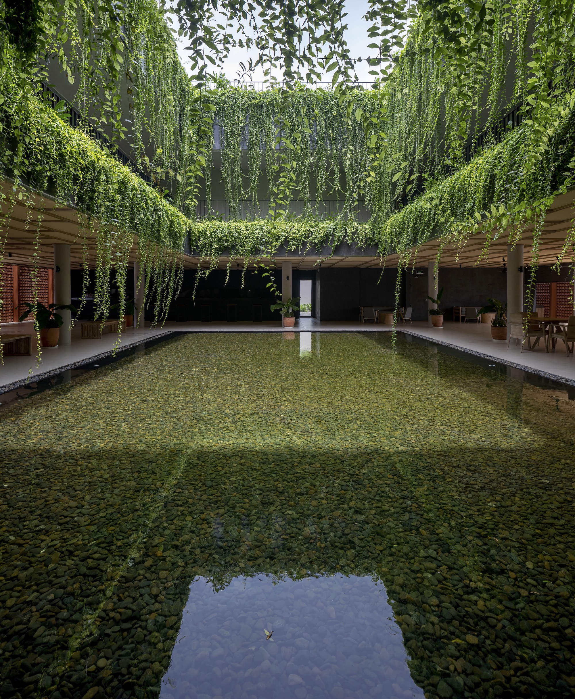 Central courtyard with reflecting pool framed by trailing vines suspended from a perimeter trellis