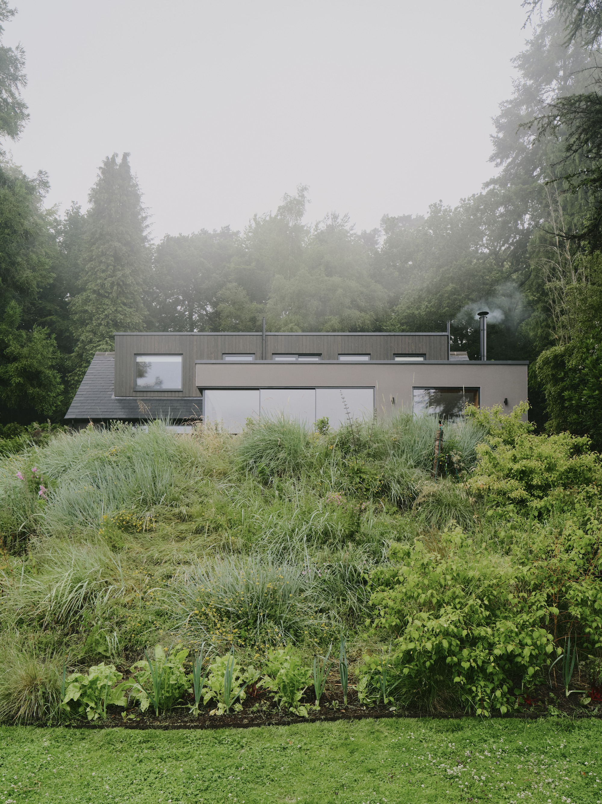 Rear elevation with corrugated metal cladding and clerestory windows framed by planted grasses and fog