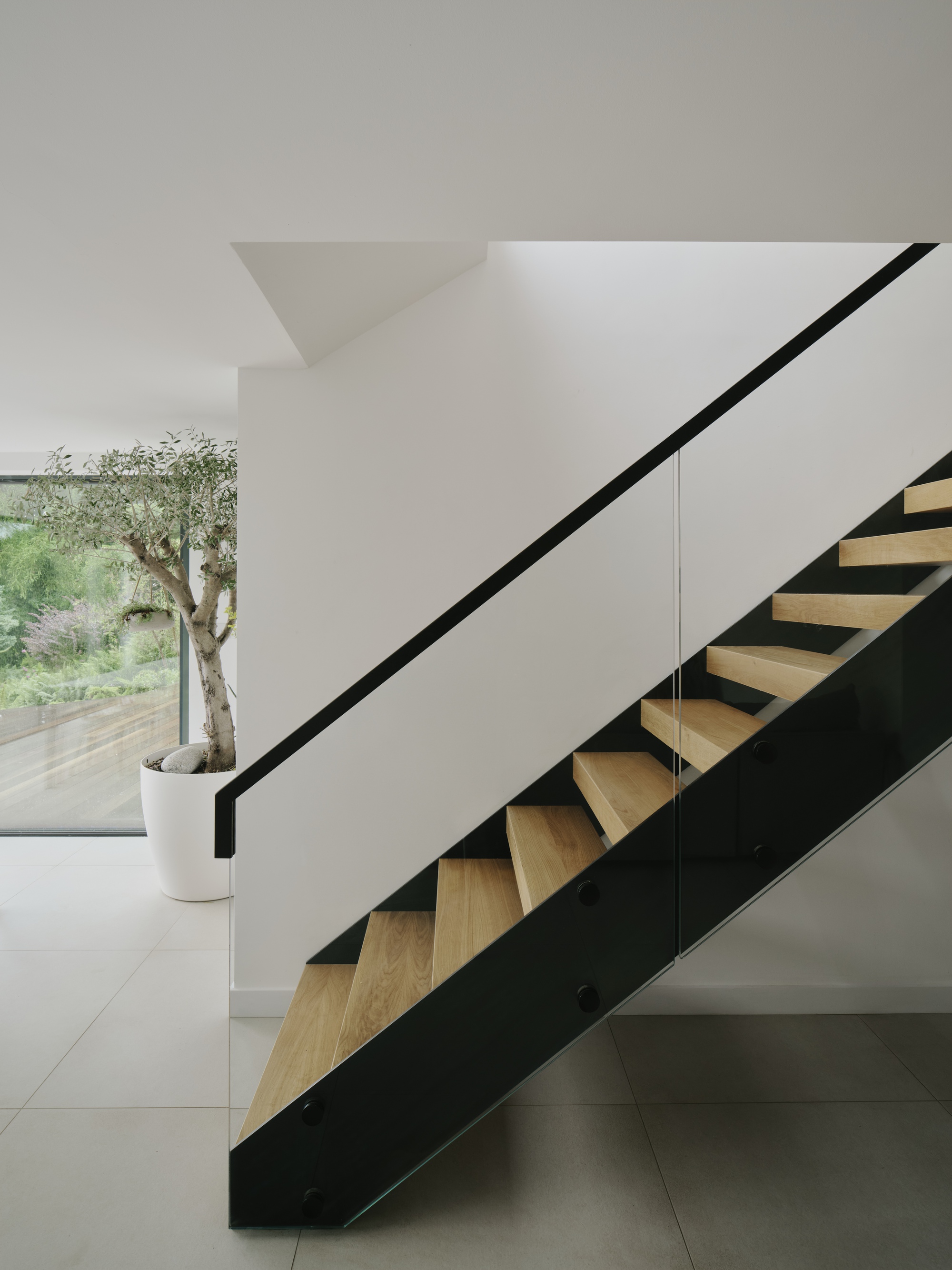 Timber and steel staircase with glass balustrade ascending in a white-walled interior with planted olive tree