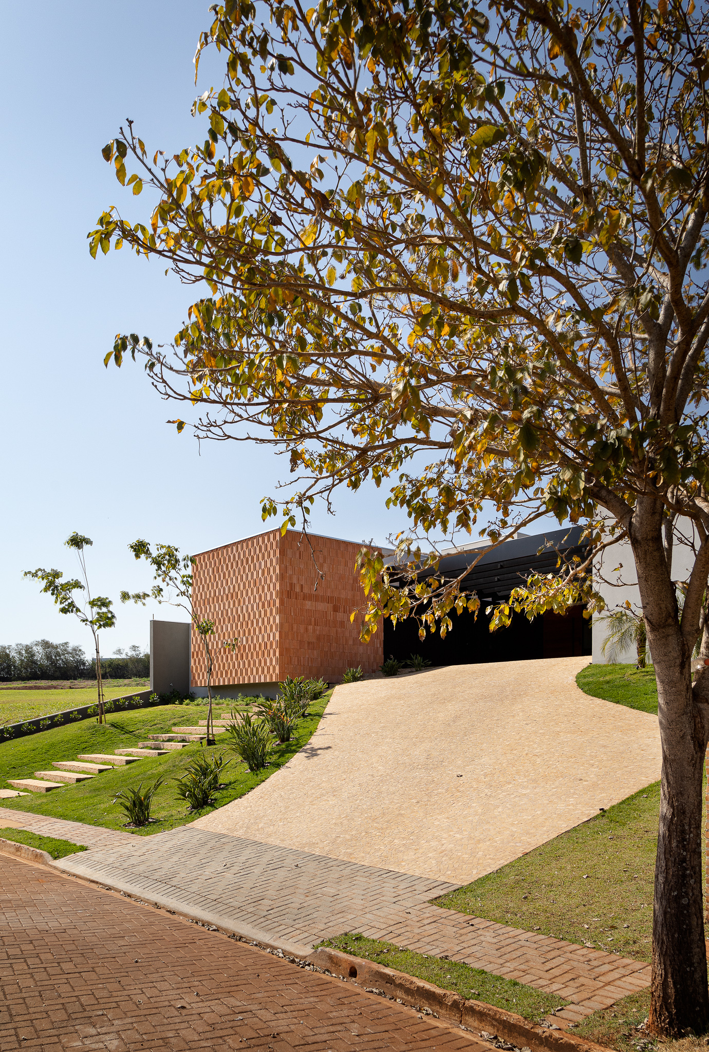 Patterned terracotta brick volume with driveway approach and deciduous tree in afternoon light