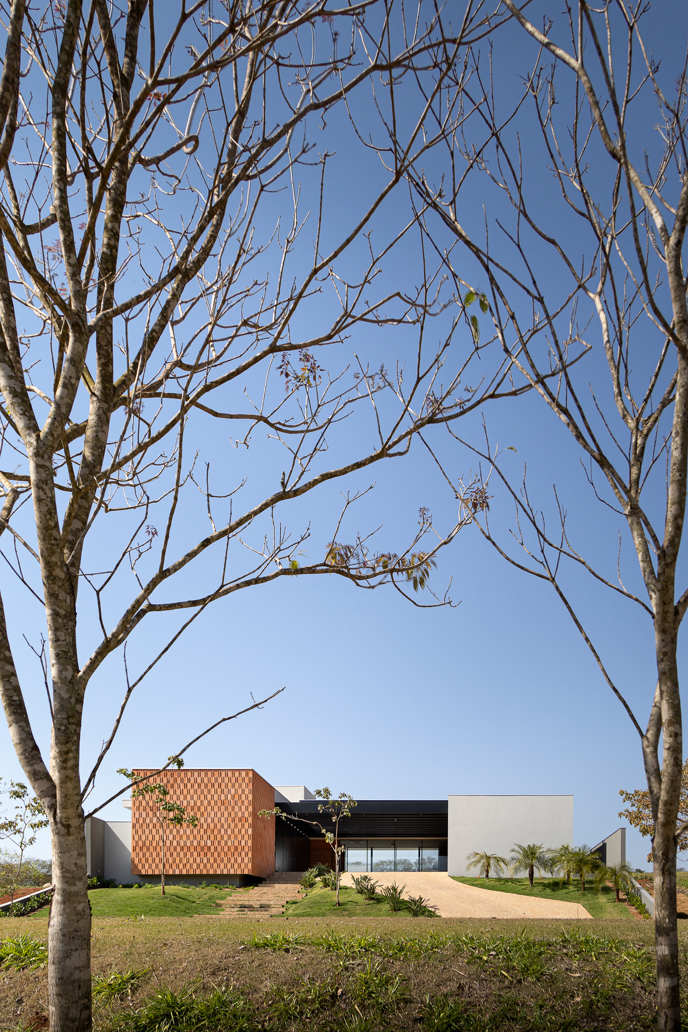View through bare winter tree branches of the chequered brick volume and flat-roofed pavilion
