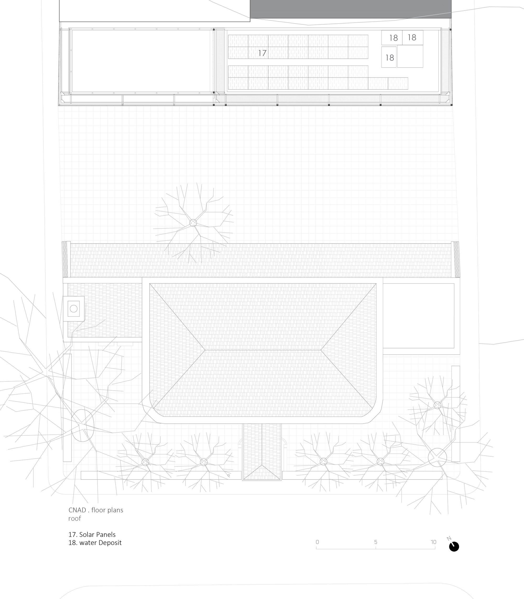 Floor plan and roof plan drawings showing a linear pavilion with a pool and surrounding trees