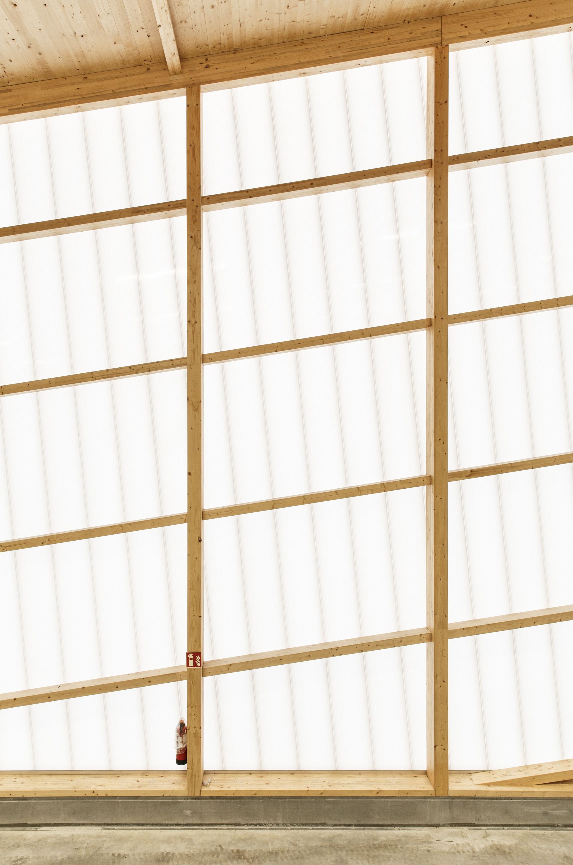 Floor-to-ceiling translucent polycarbonate wall with timber framing and exposed wood beam structure above