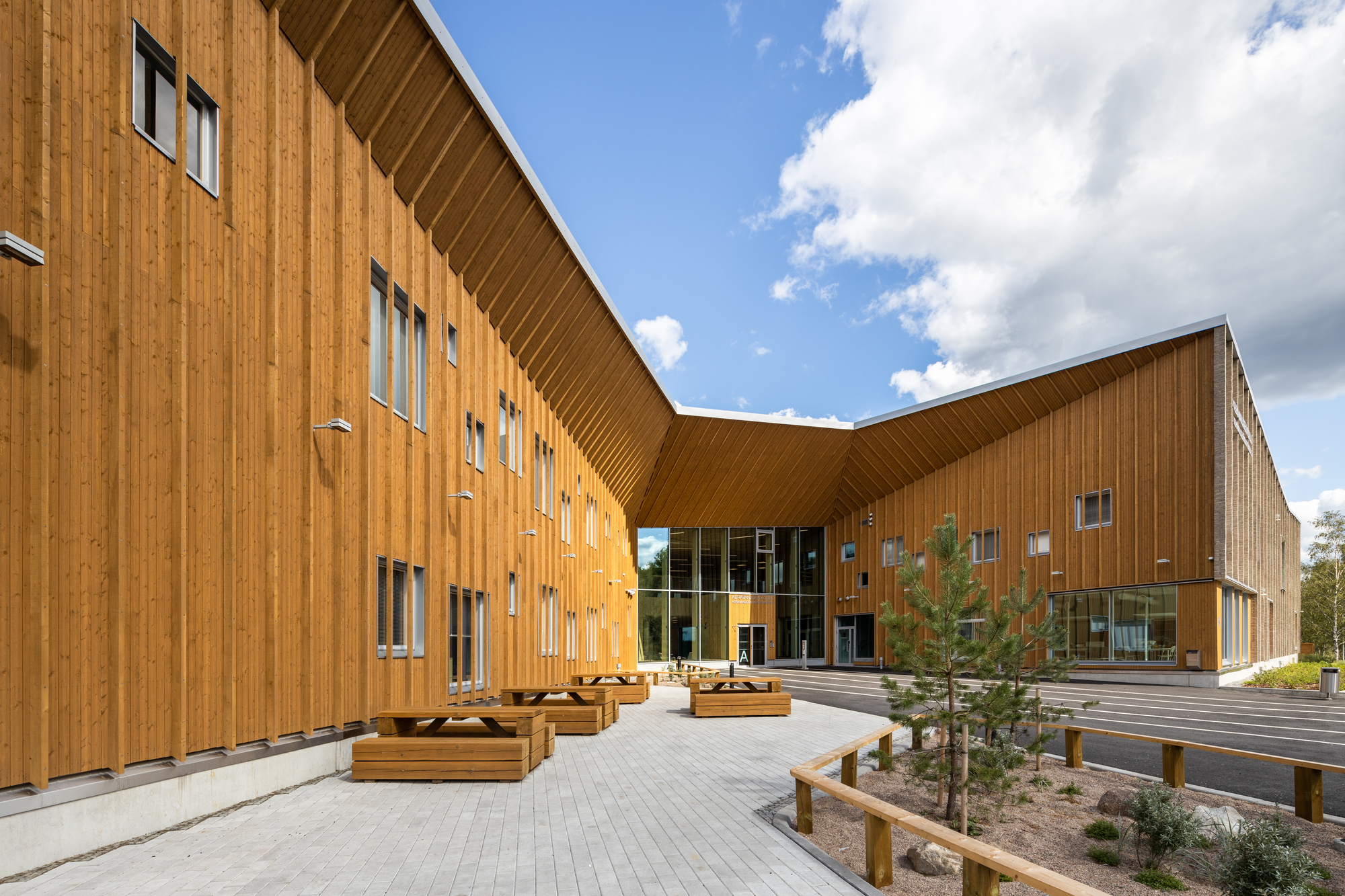 Courtyard view of the vertical timber cladding and folded soffit with planted beds and young pines