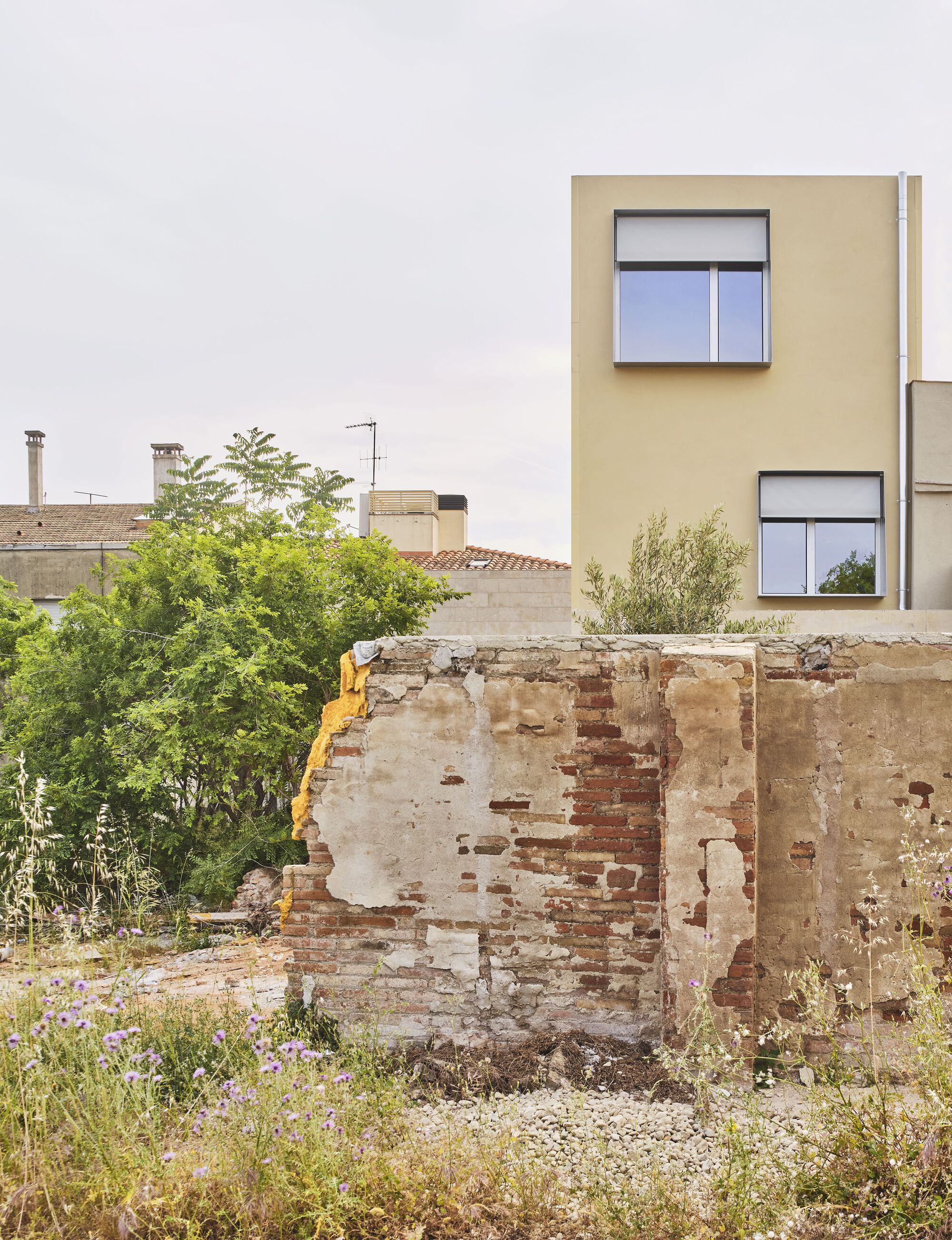 Weathered brick ruin wall with wild grasses in front of a pale yellow volume with stacked windows