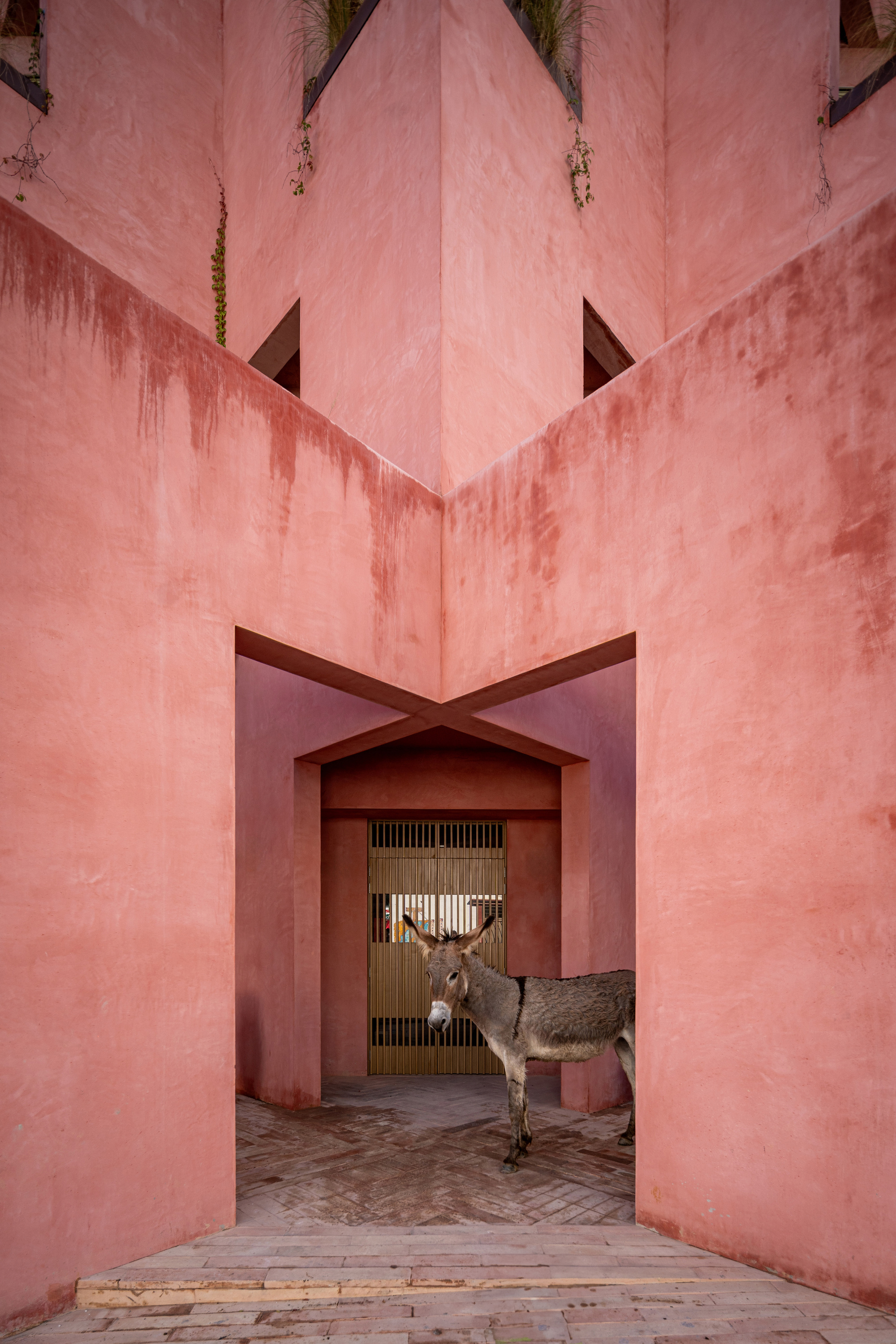 Pointed facade corner framing an arched portal with a deer sculpture standing in the threshold