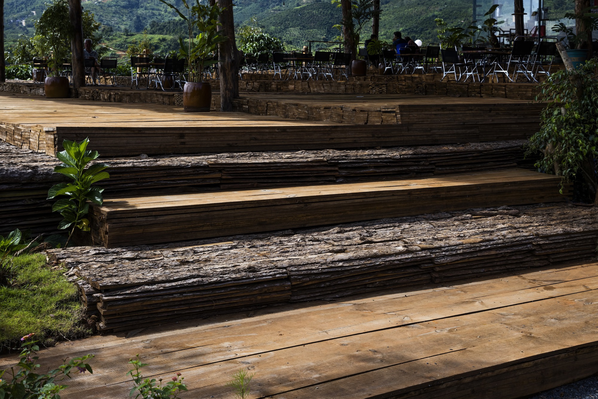Timber steps with rough-hewn log risers and planted pockets ascending through dappled sunlight