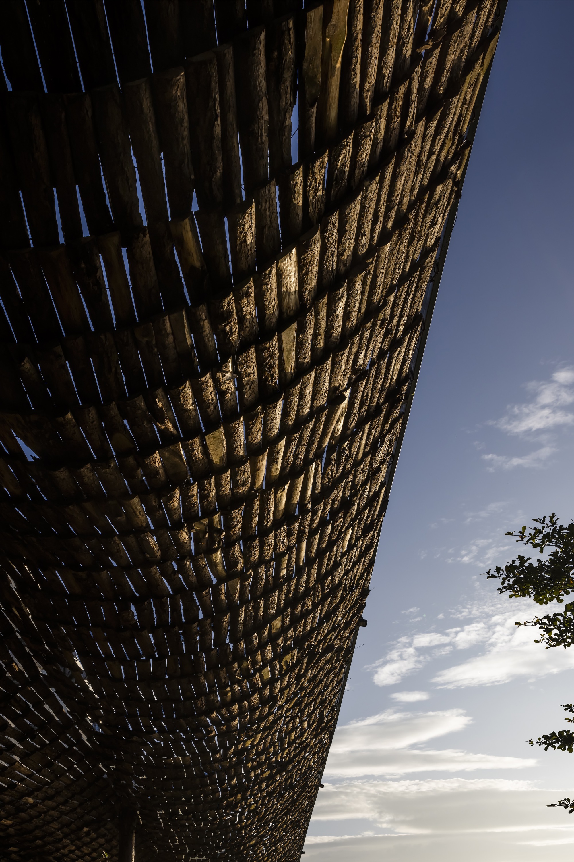 Underside view of woven bamboo canopy edge against evening sky