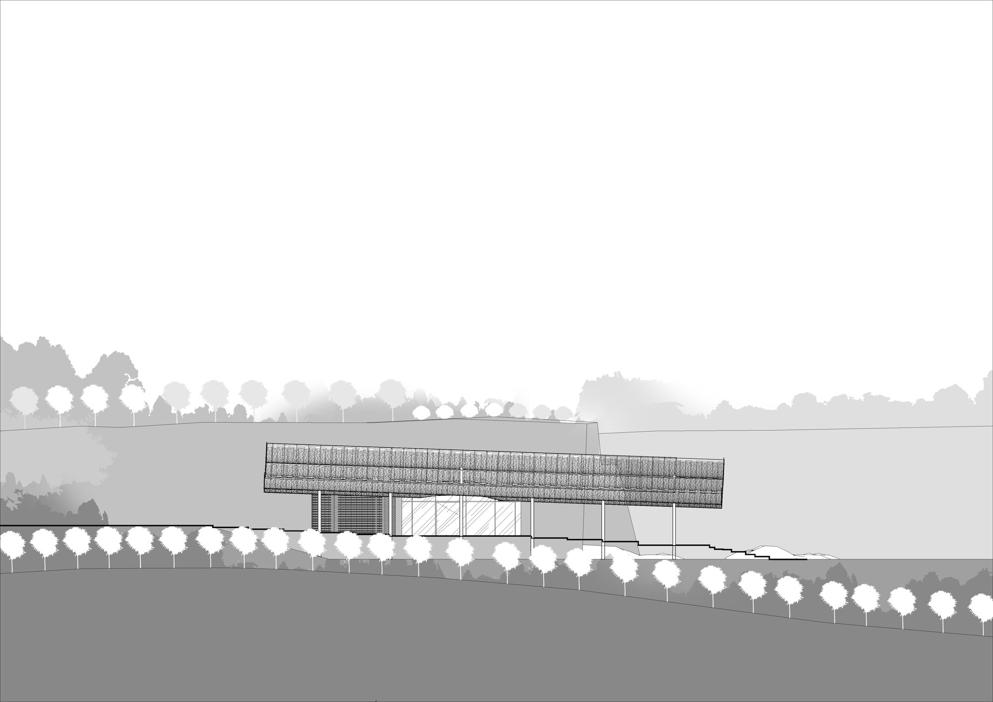 Elevation drawing depicting a linear structure with elevated trussed roof and glazed lower level amid tree plantings
