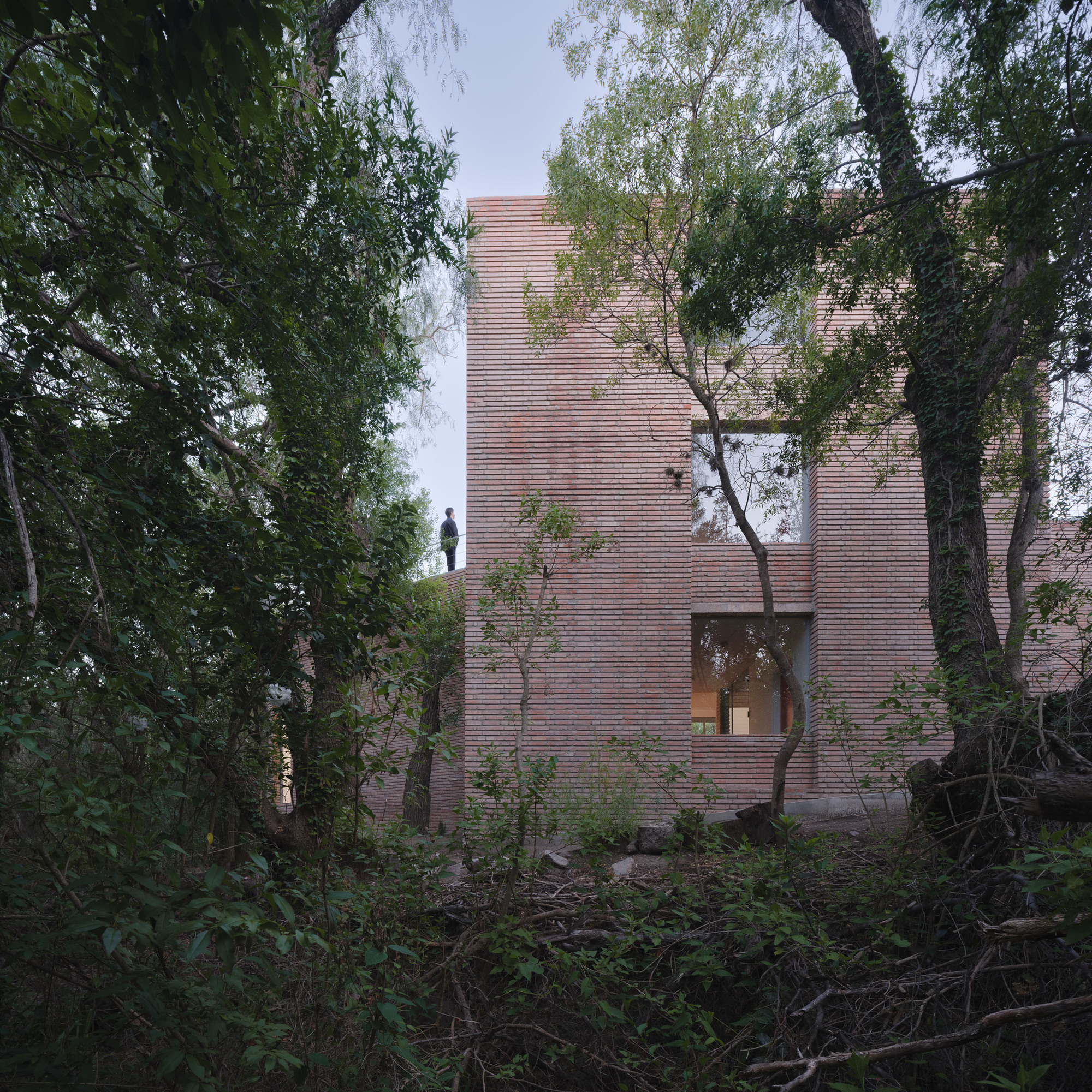 Three-story brick volume with recessed entry and figure on rooftop terrace framed by mature trees