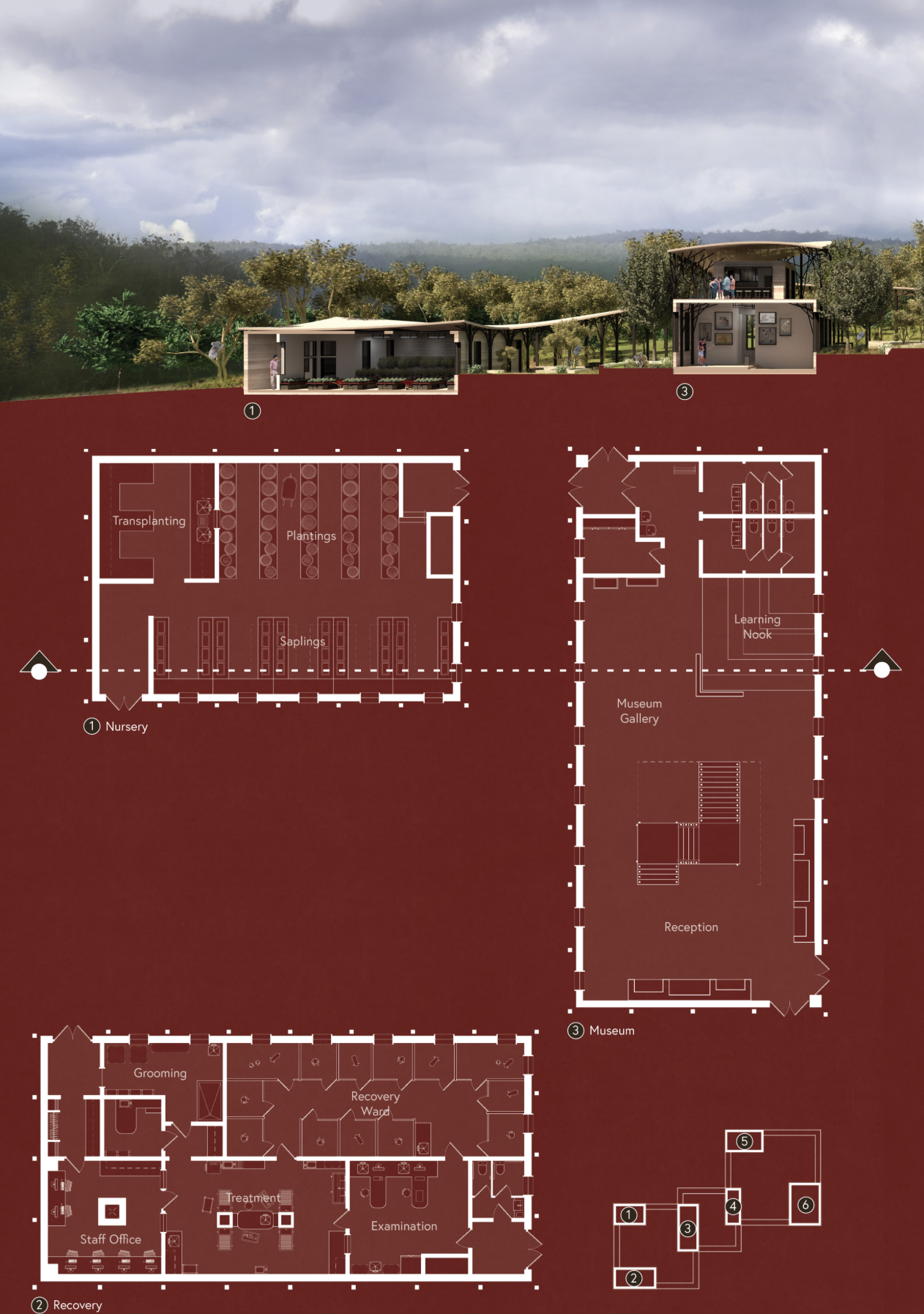 Sectional diagrams and floor plans reveal the sanctuary’s integrated approach to koala rehabilitation, ecological education, and sustainable architecture.