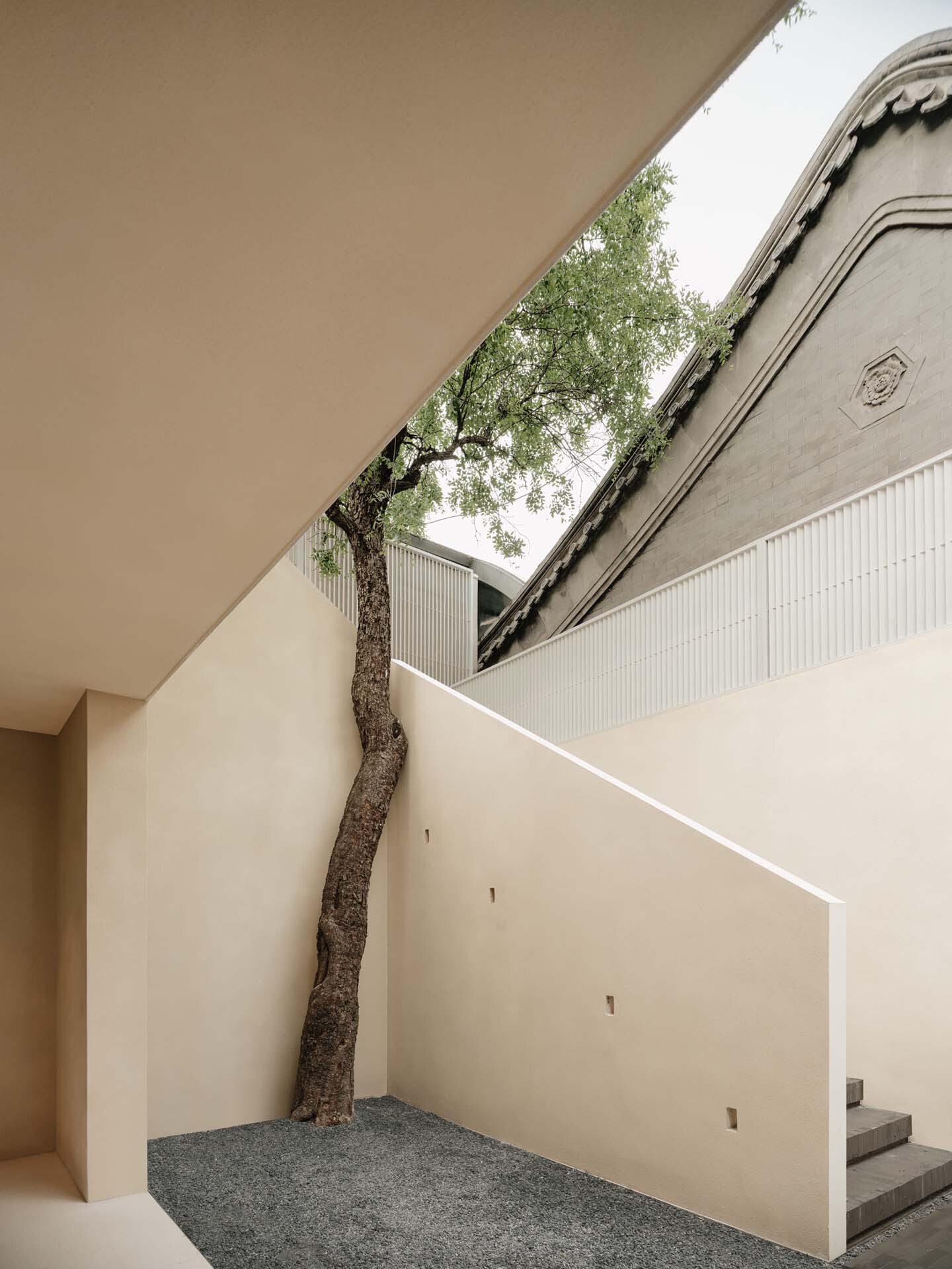 Diagonal skylight opening framing an existing tree growing through the white stucco courtyard volume