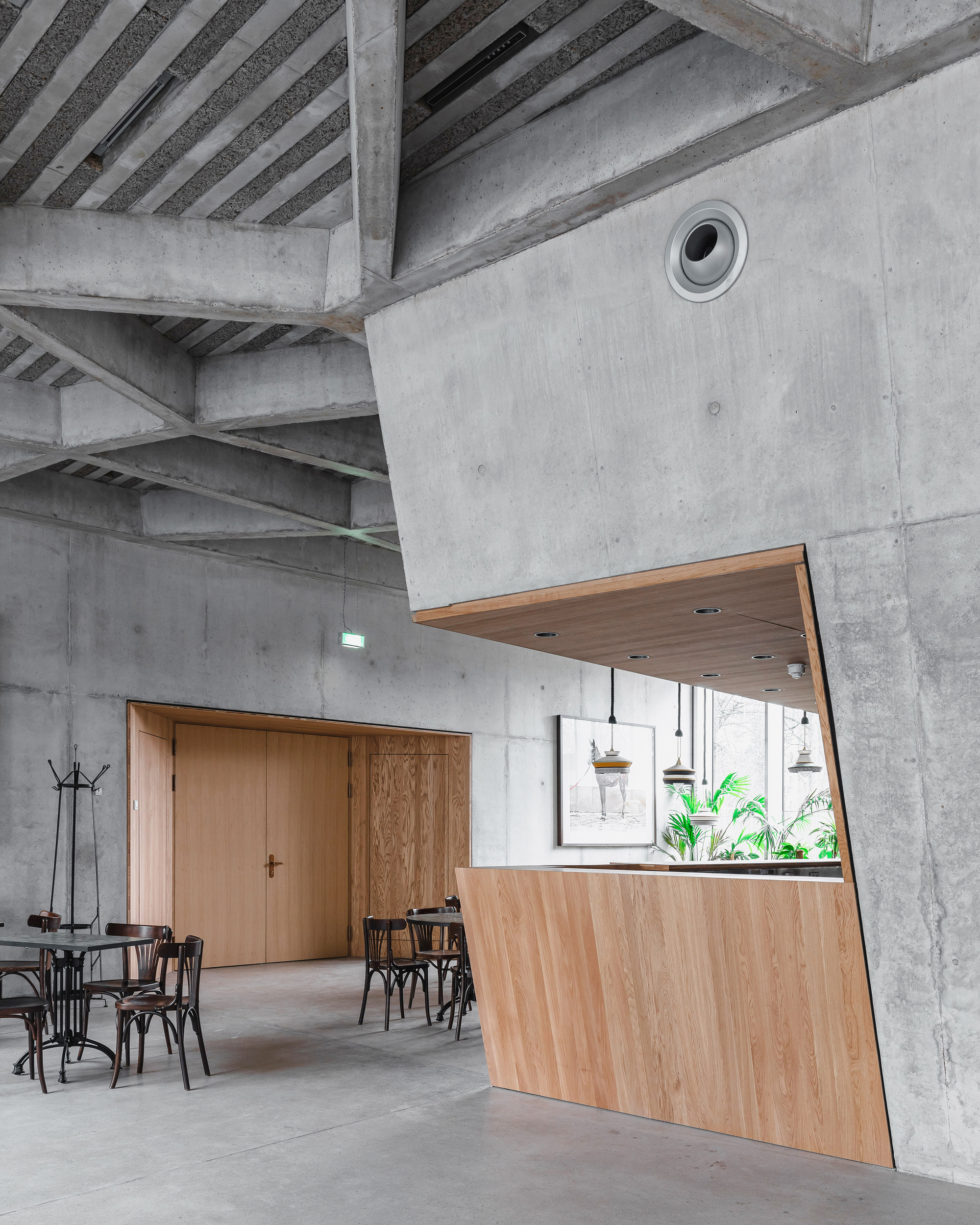 Timber service counter beneath exposed concrete columns and diagonal beams with circular window above