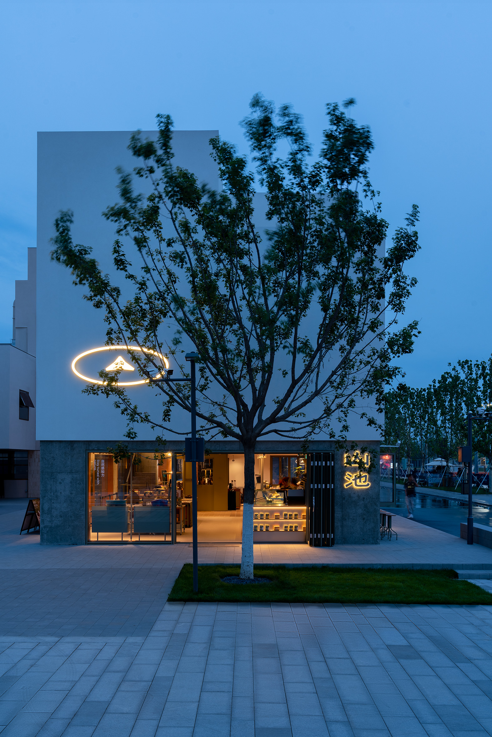 Street view of a white facade with circular streetlight and tree silhouetted against the blue hour sky